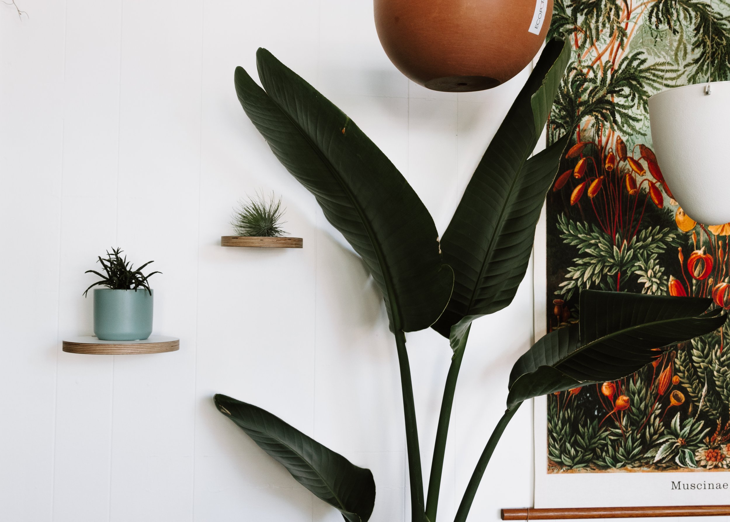 INTERIOR & LIFESTYLE