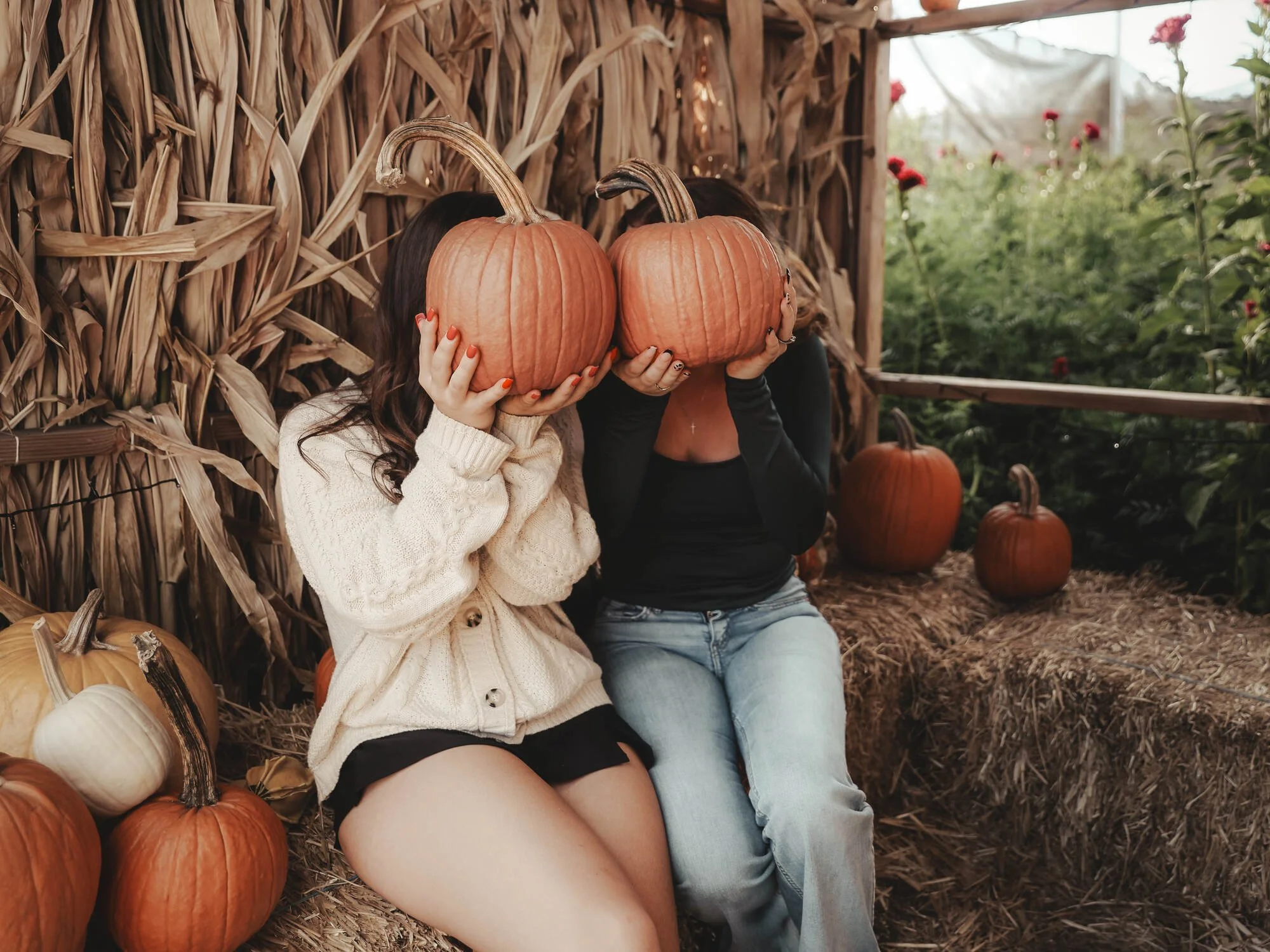 Two women sitting on a hay bale at a pumpkin patch, holding pumpkins up to their faces, surrounded by pumpkins and dried corn stalks.