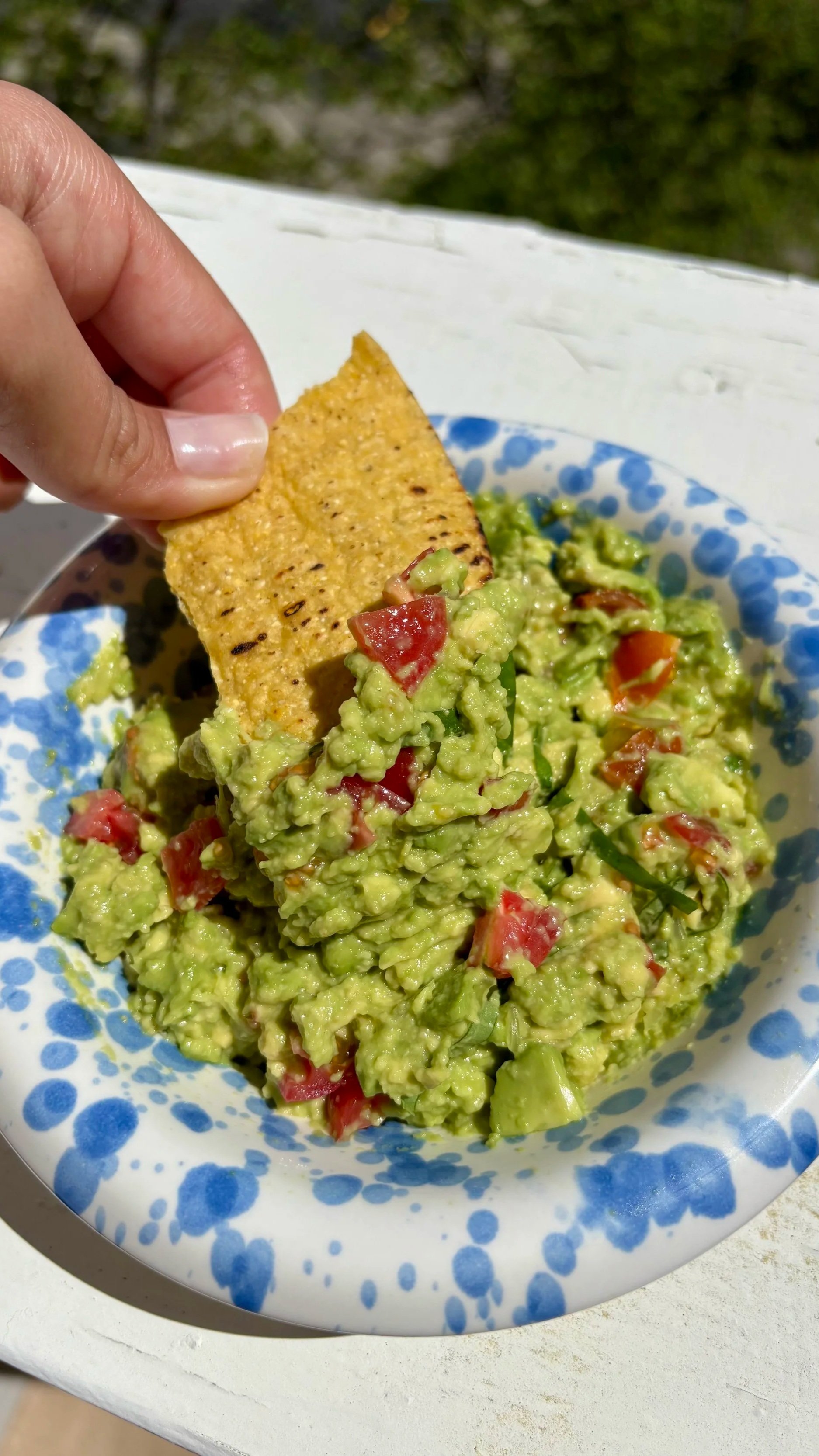 Guacamole