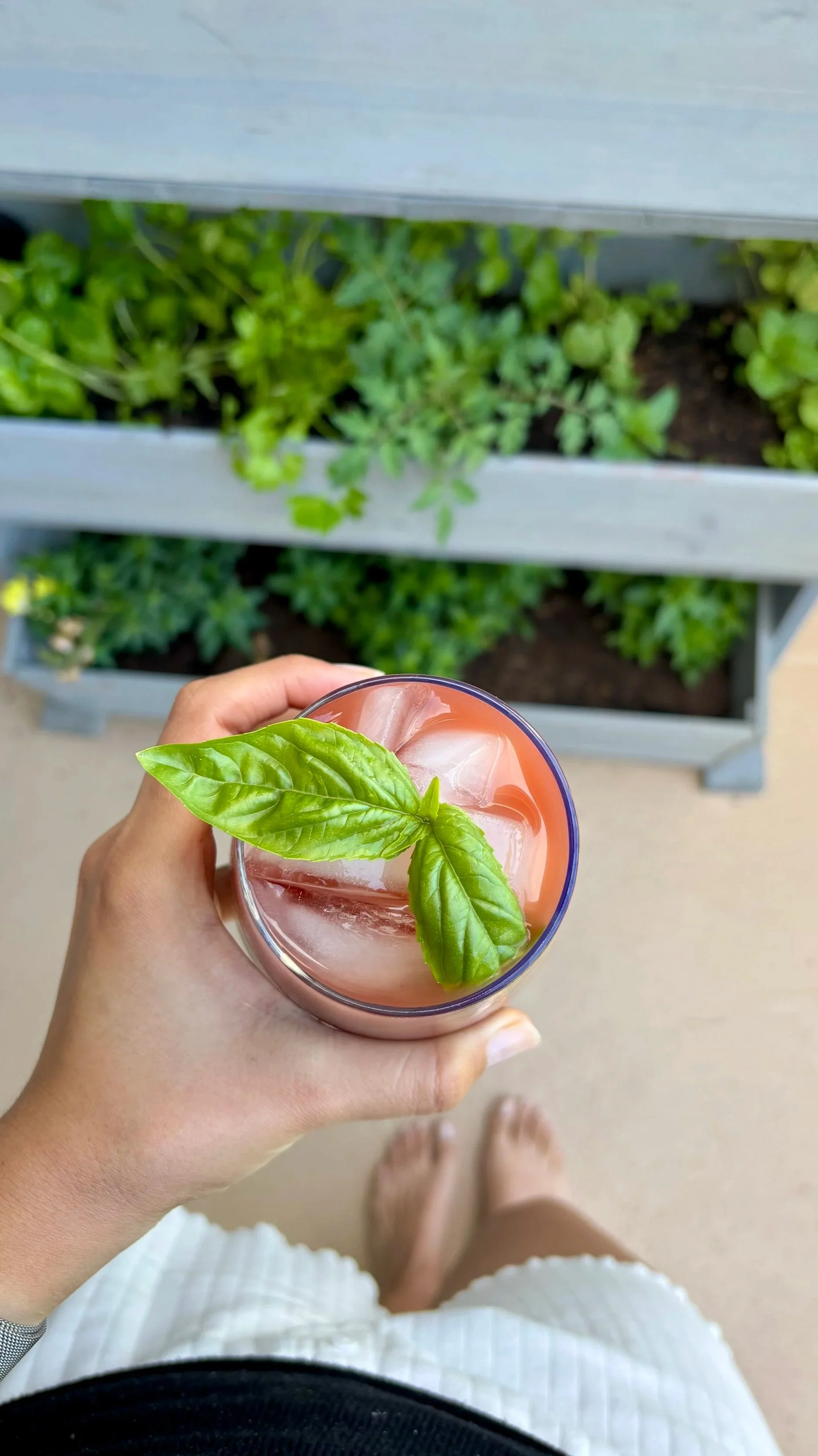 Virgin Cherry Basil Spritz