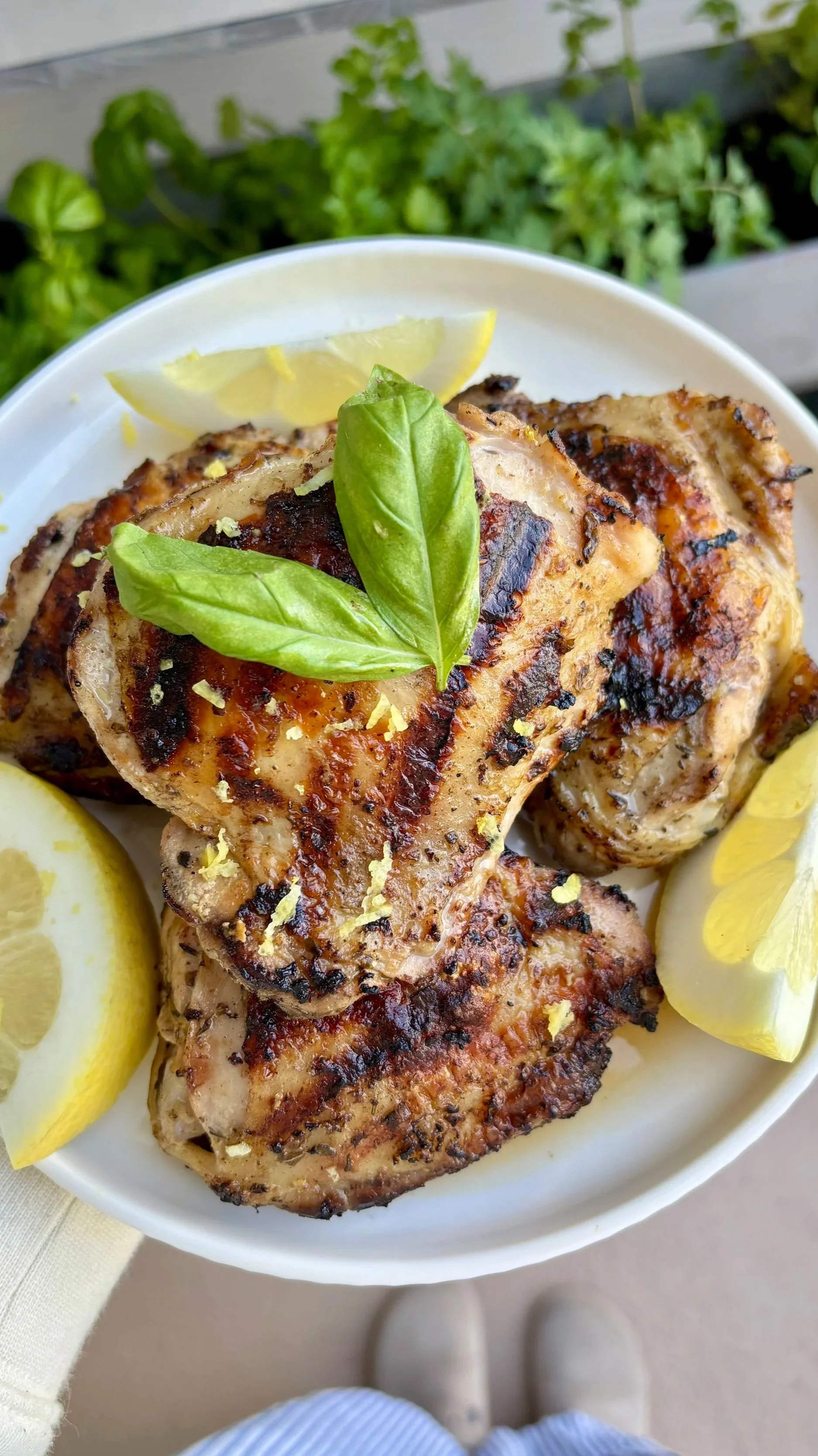 Lemon Yogurt Grilled Chicken 