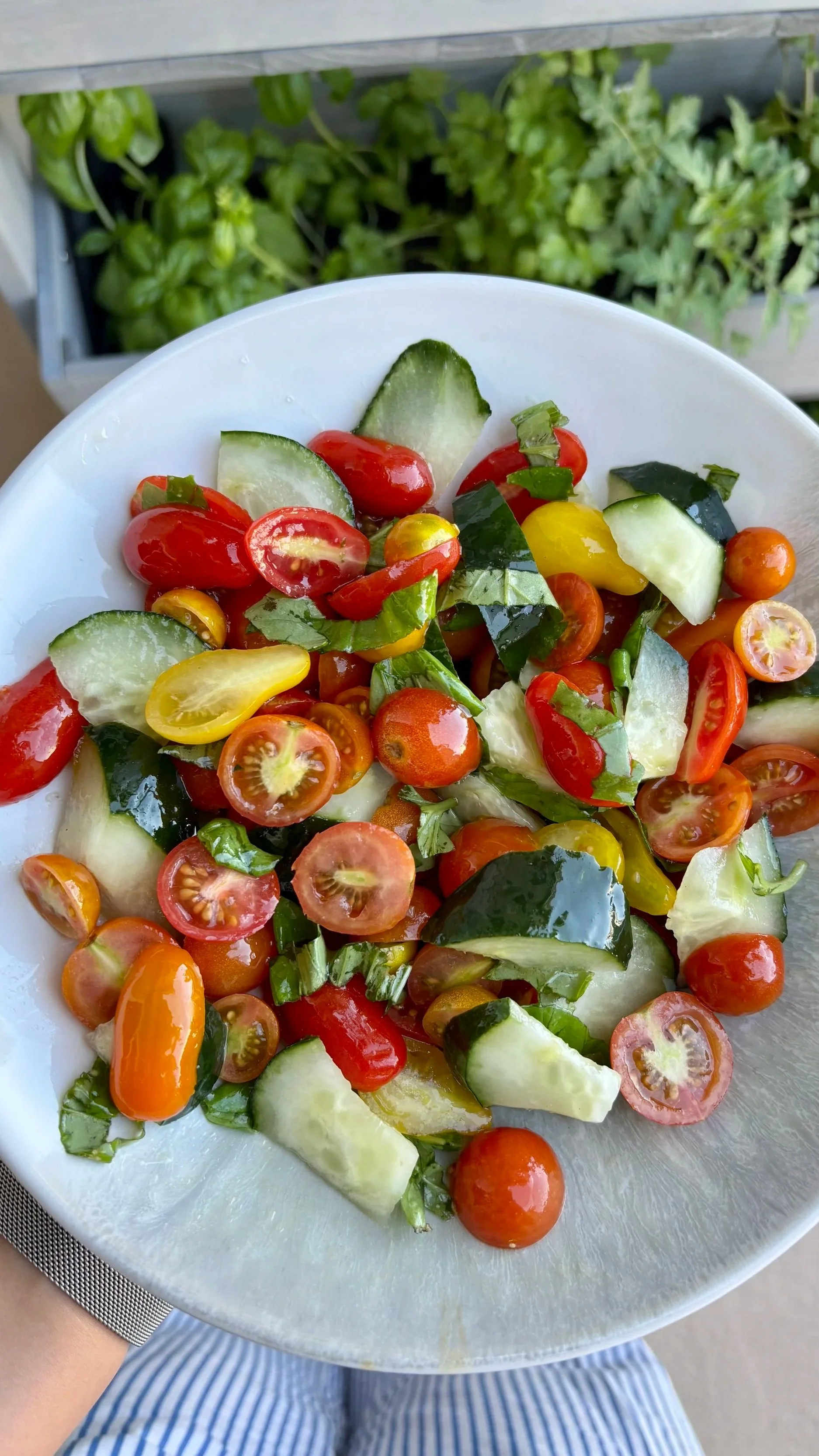 Tomato, Cucumber, &amp; Basil Salad