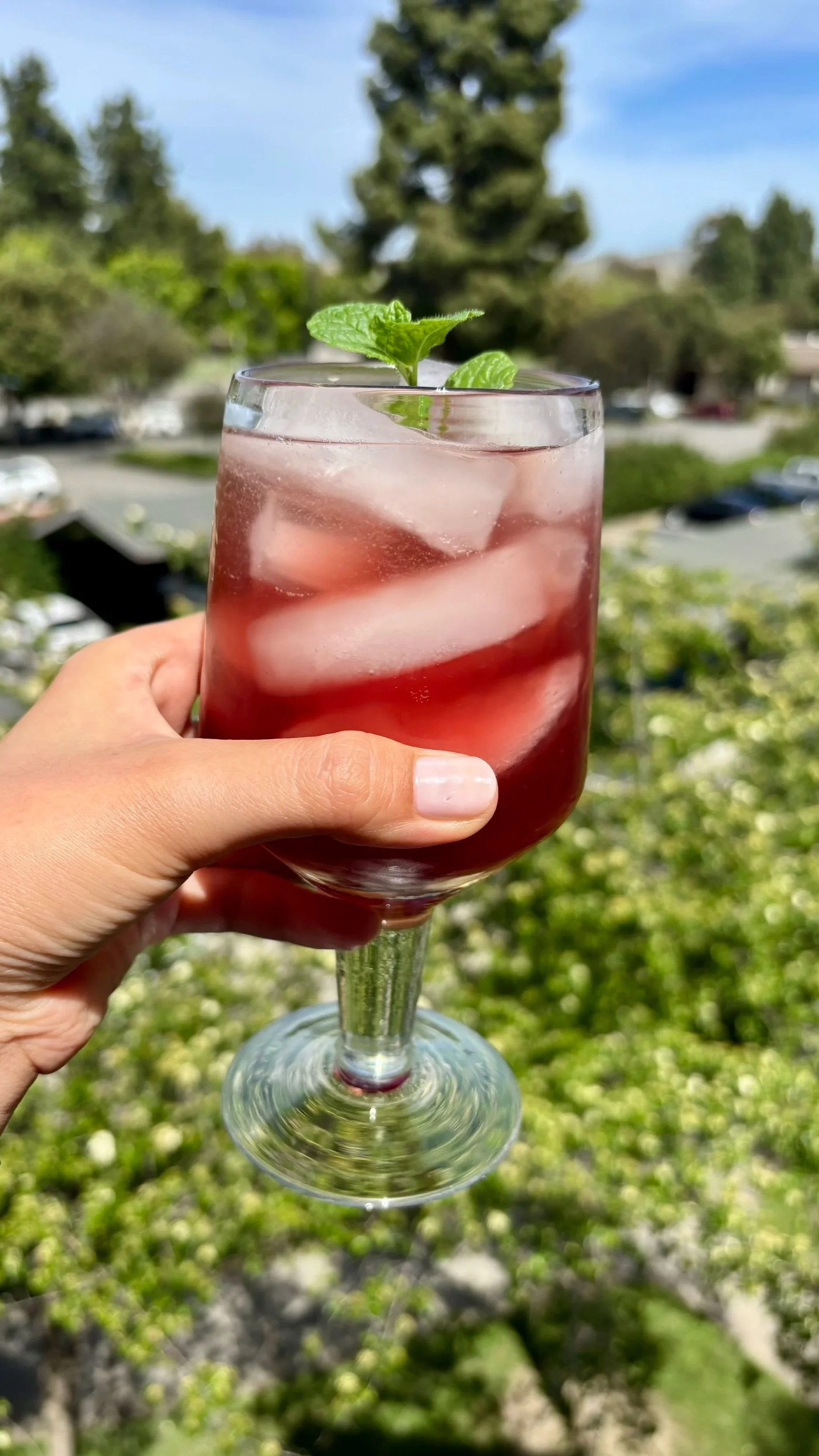 Cardamom Pomegranate Fizz