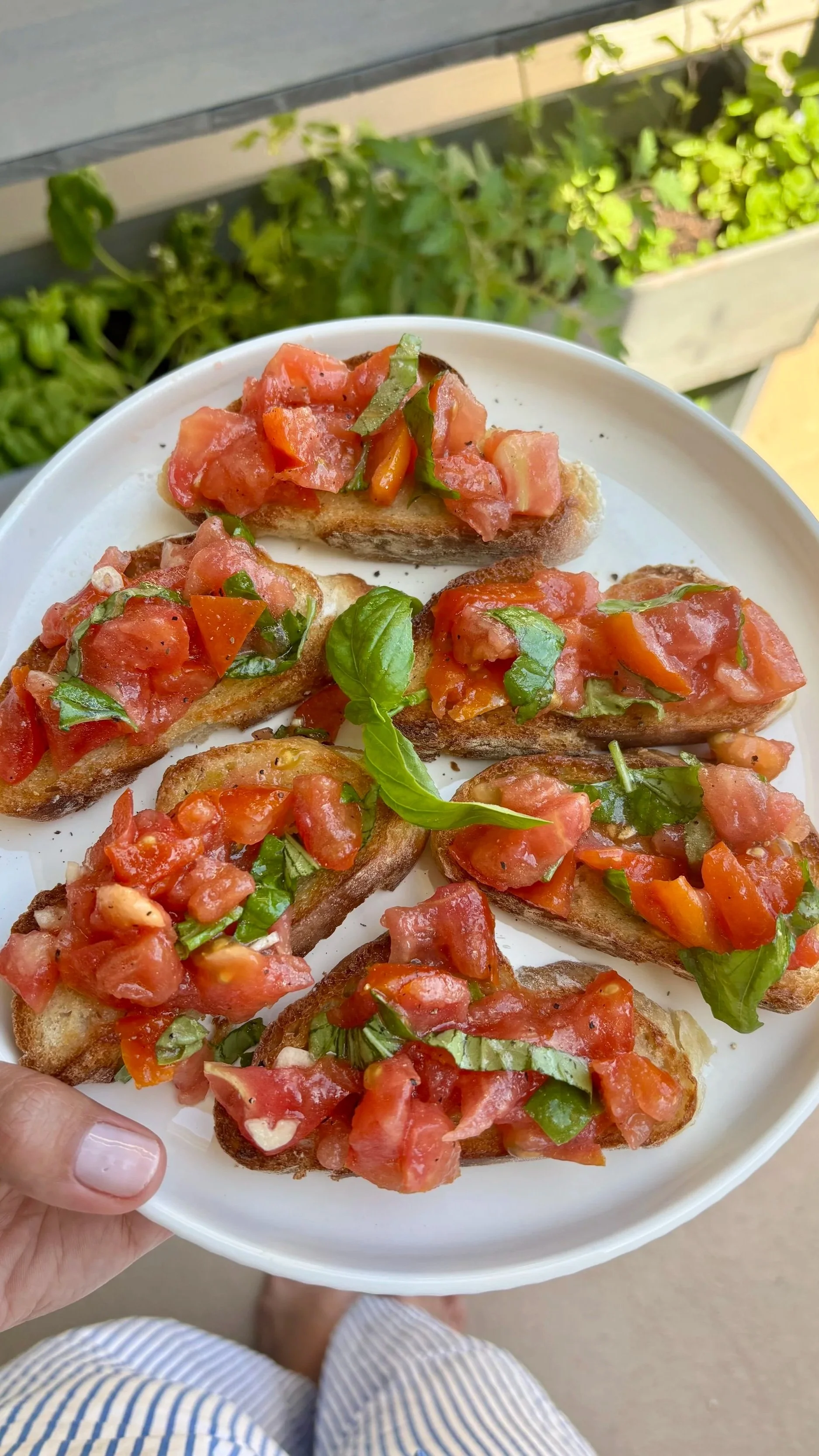 Italian Tomato Bruschetta