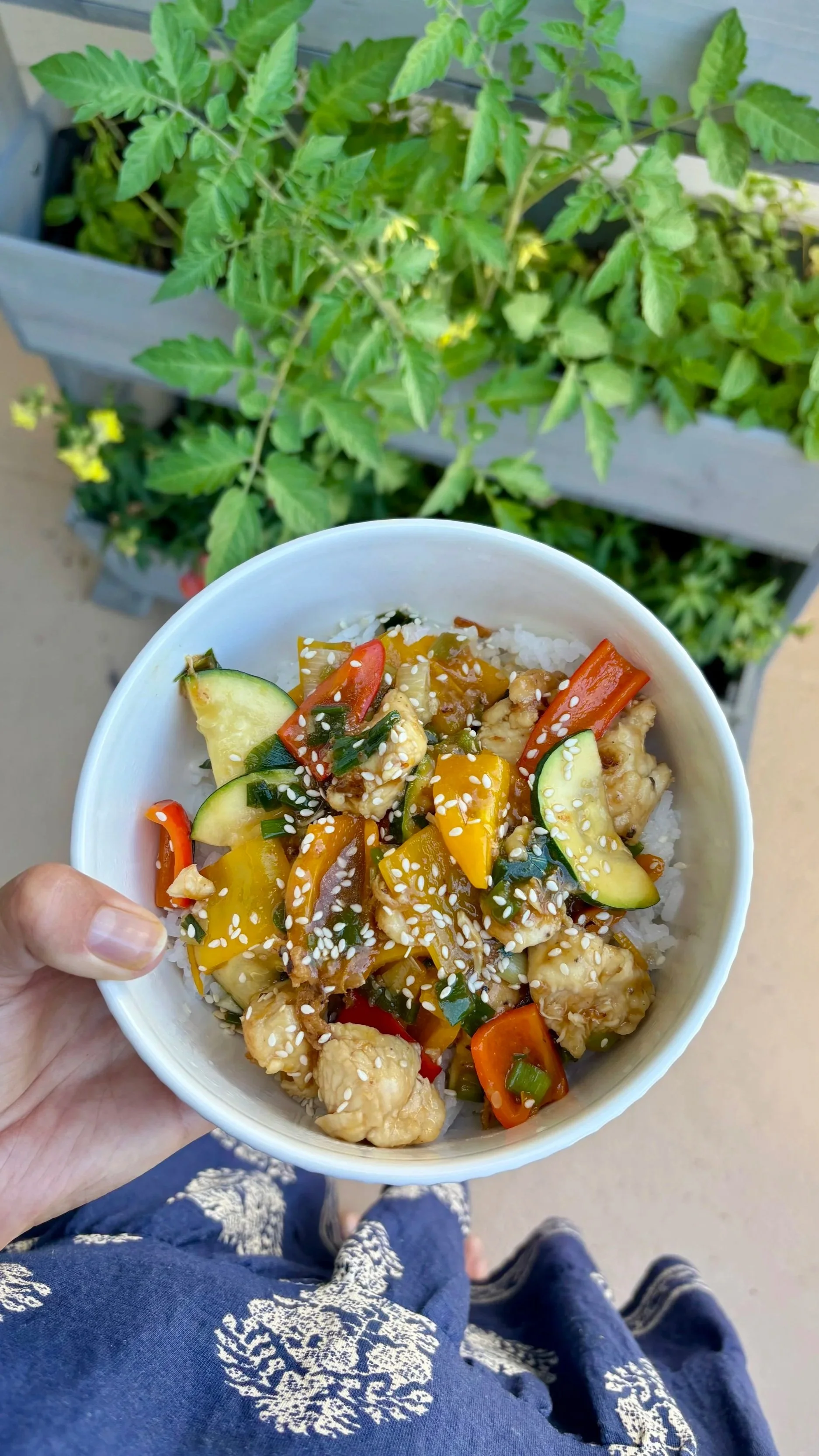 Healthy Orange Chicken