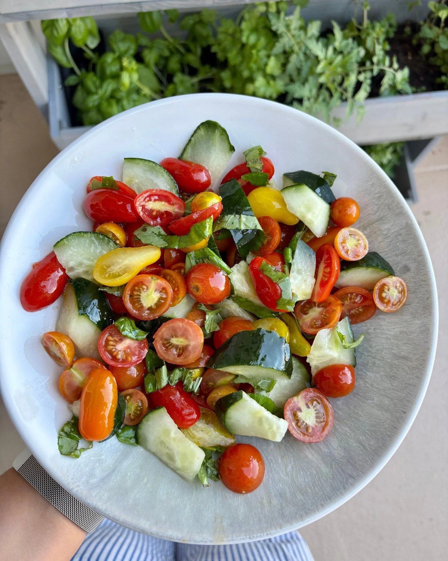 Tomato, Cucumber, &amp; Basil Salad 🍅 

It's fresh, simple, and packed with flavour! This is such an easy salad to throw together for a side for a BBQ outside

Link to the recipe is in my bio 👆️ 

#tomatosalad #healthyrecipe #healthyfood #salad #si