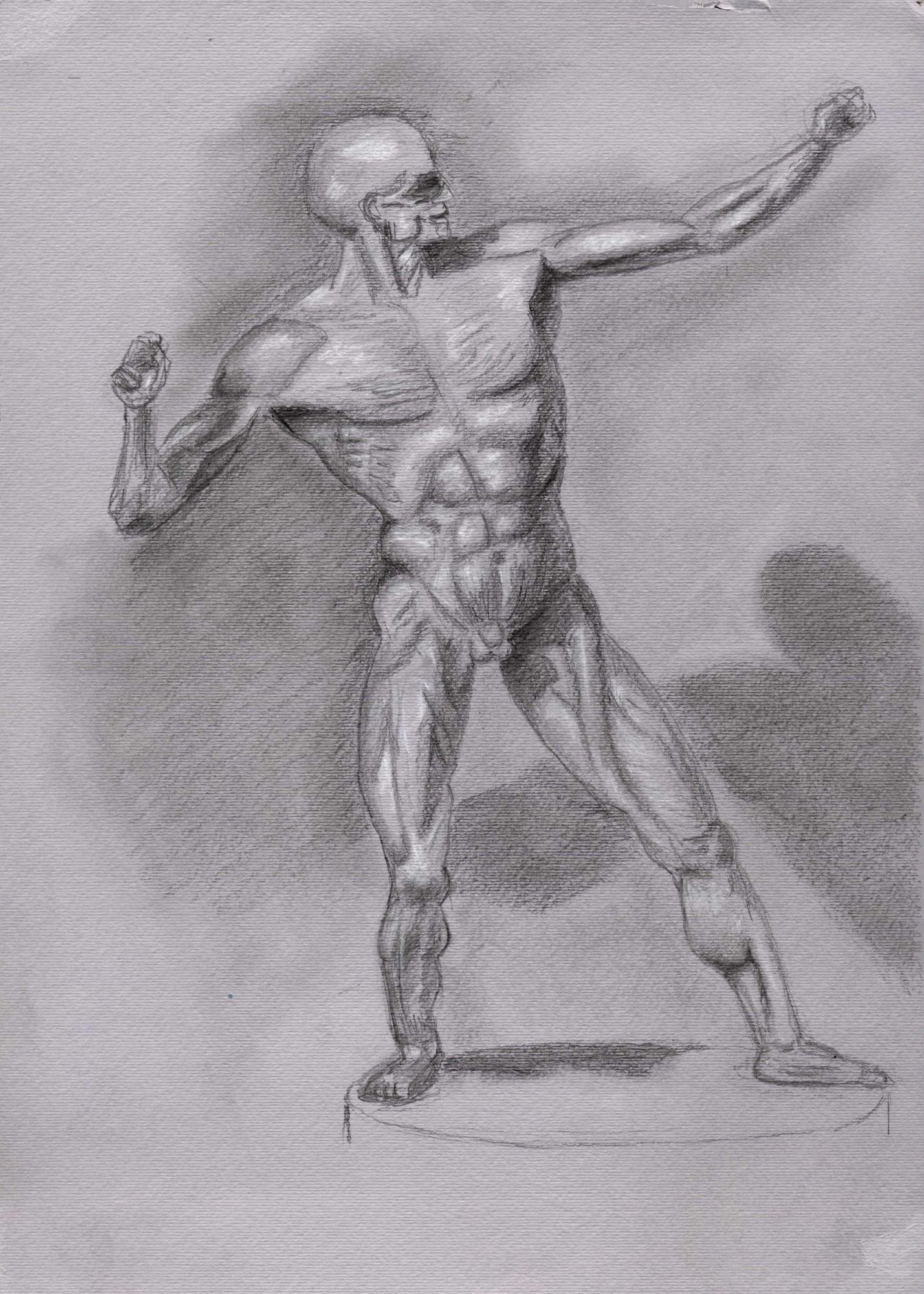 Anatomy Study, Charcoal (2024)