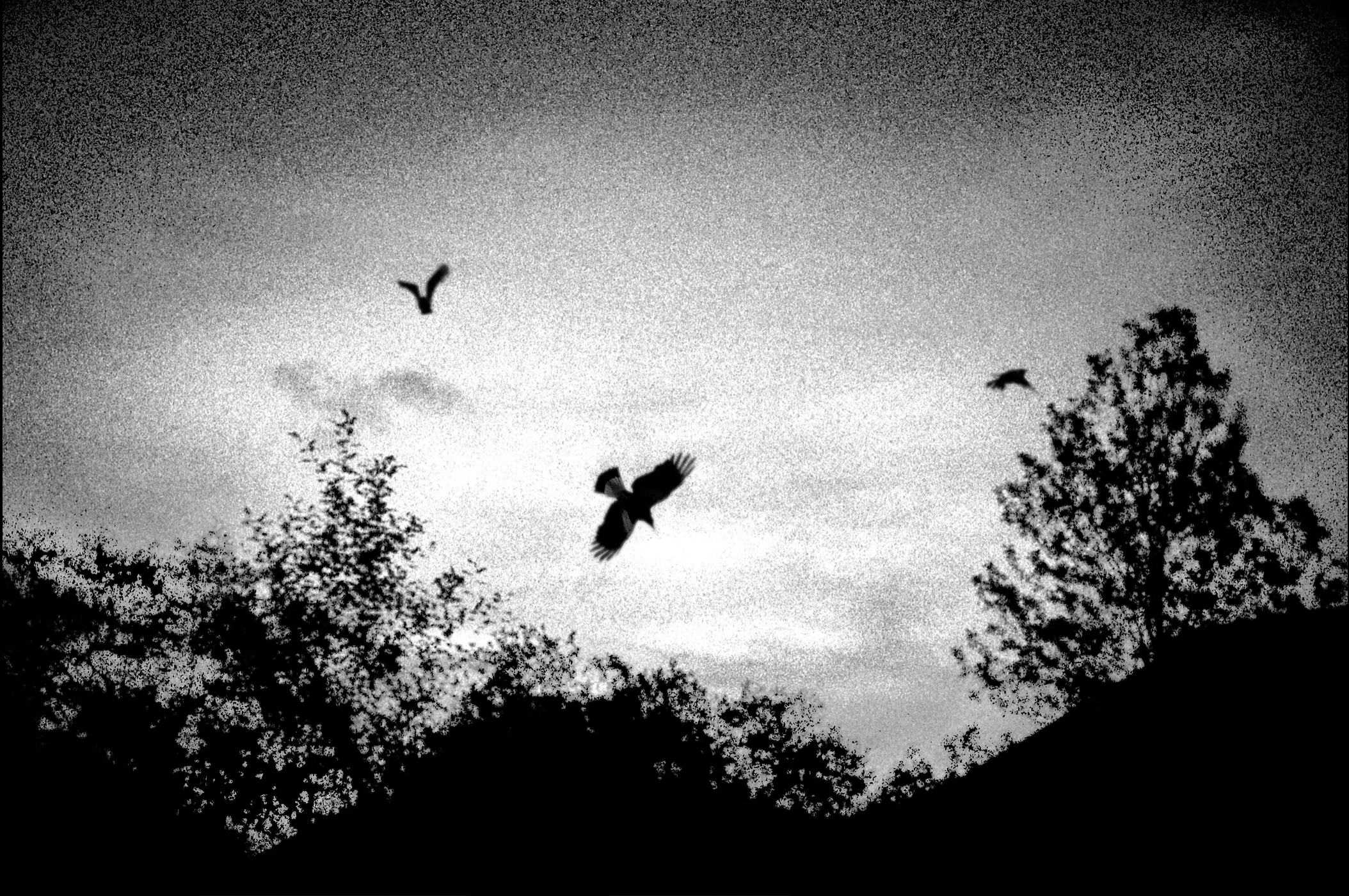 Minatures - The Remains of the Day.png