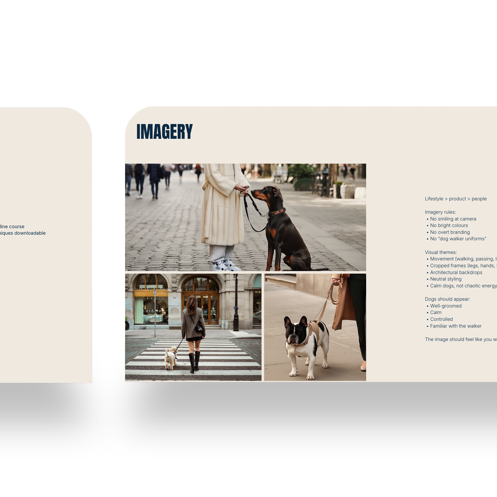 Collage of three photos of women walking dogs in urban settings, with text outlining guidelines for dog imagery.