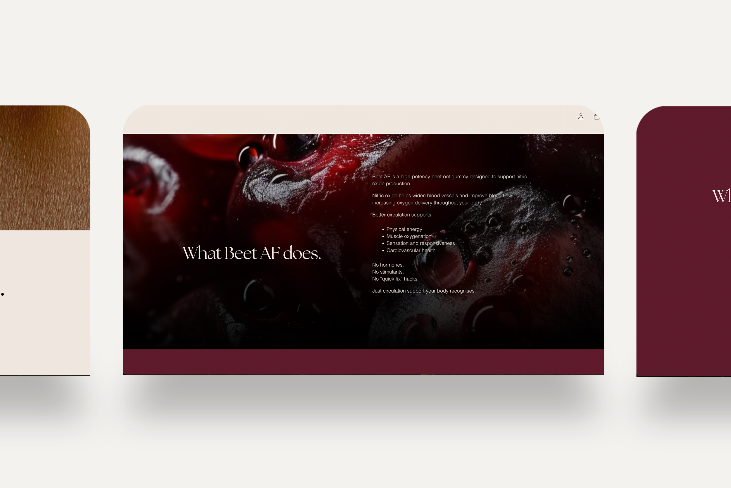 Beet_AF_Brand mockup BG5.png