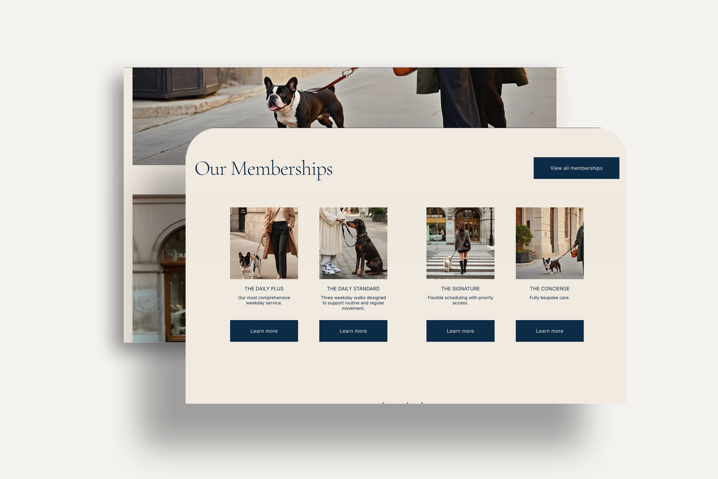Dog_Concierge_Brand mockup BG 2.png
