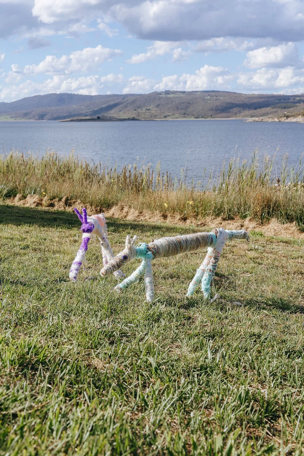 #50	- Dingo Dreamers - Year 1 Students, Jindabyne Public School