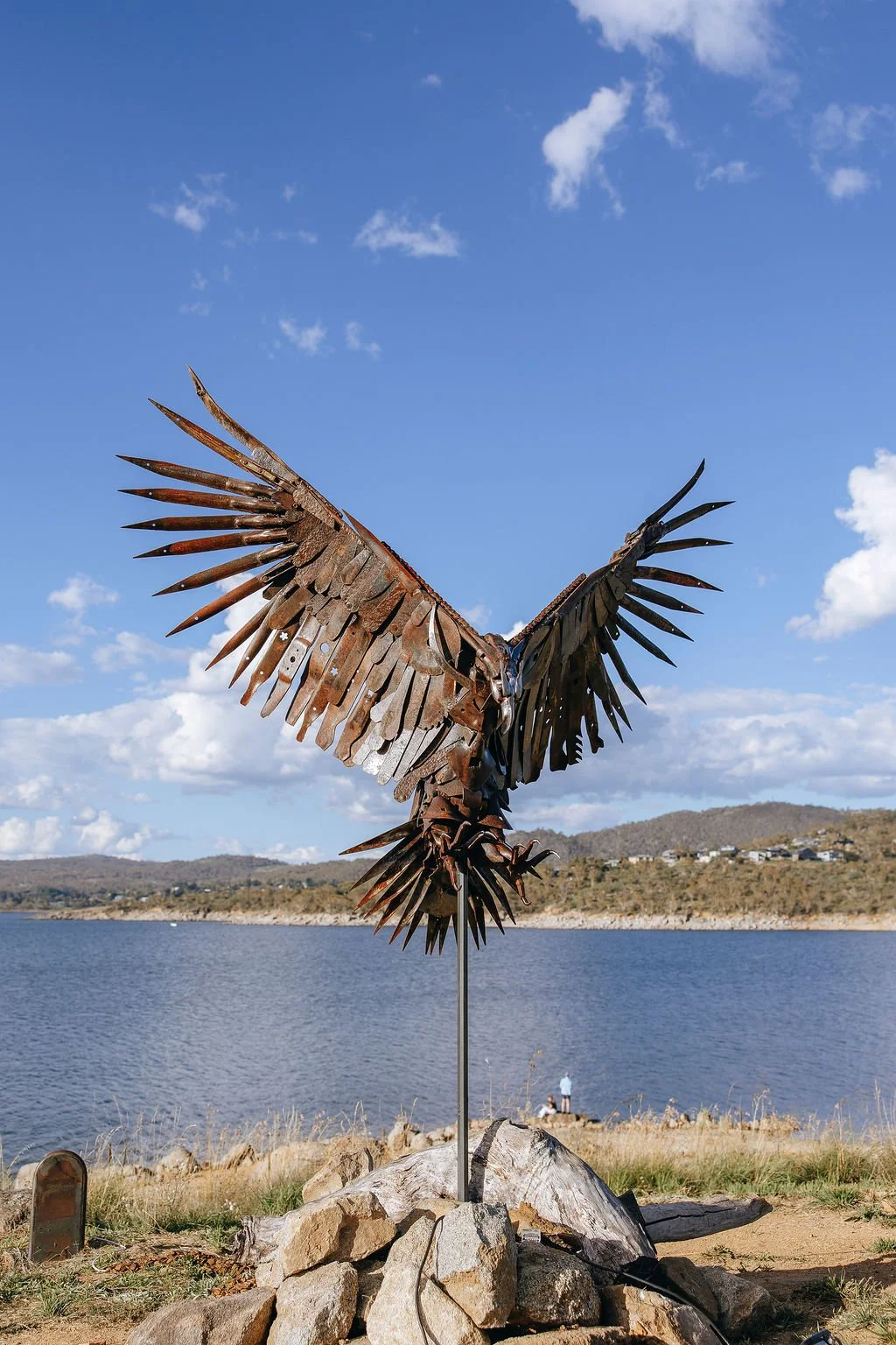 #74 - Eagle - Steve Wallis