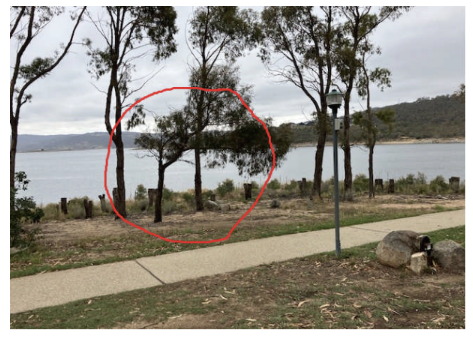 Screenshot 2026-03-25 at 3.26.15 pm.png