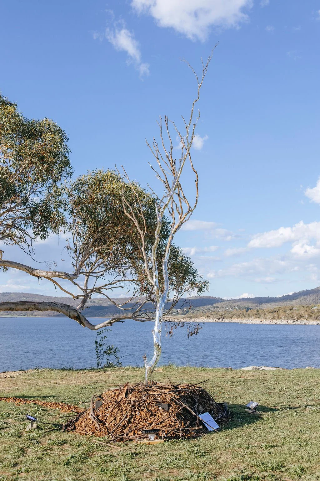 #94 - Gathered Light - Ya Li and Sebastian Druege