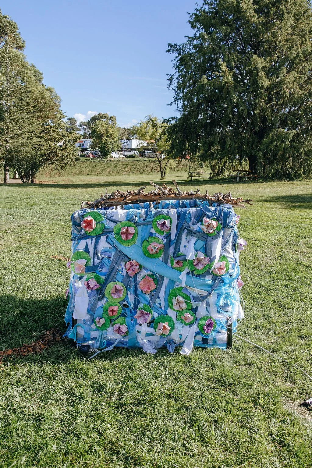 #37 - The Lily Prism - Stage 2 Students, Jindabyne Public School