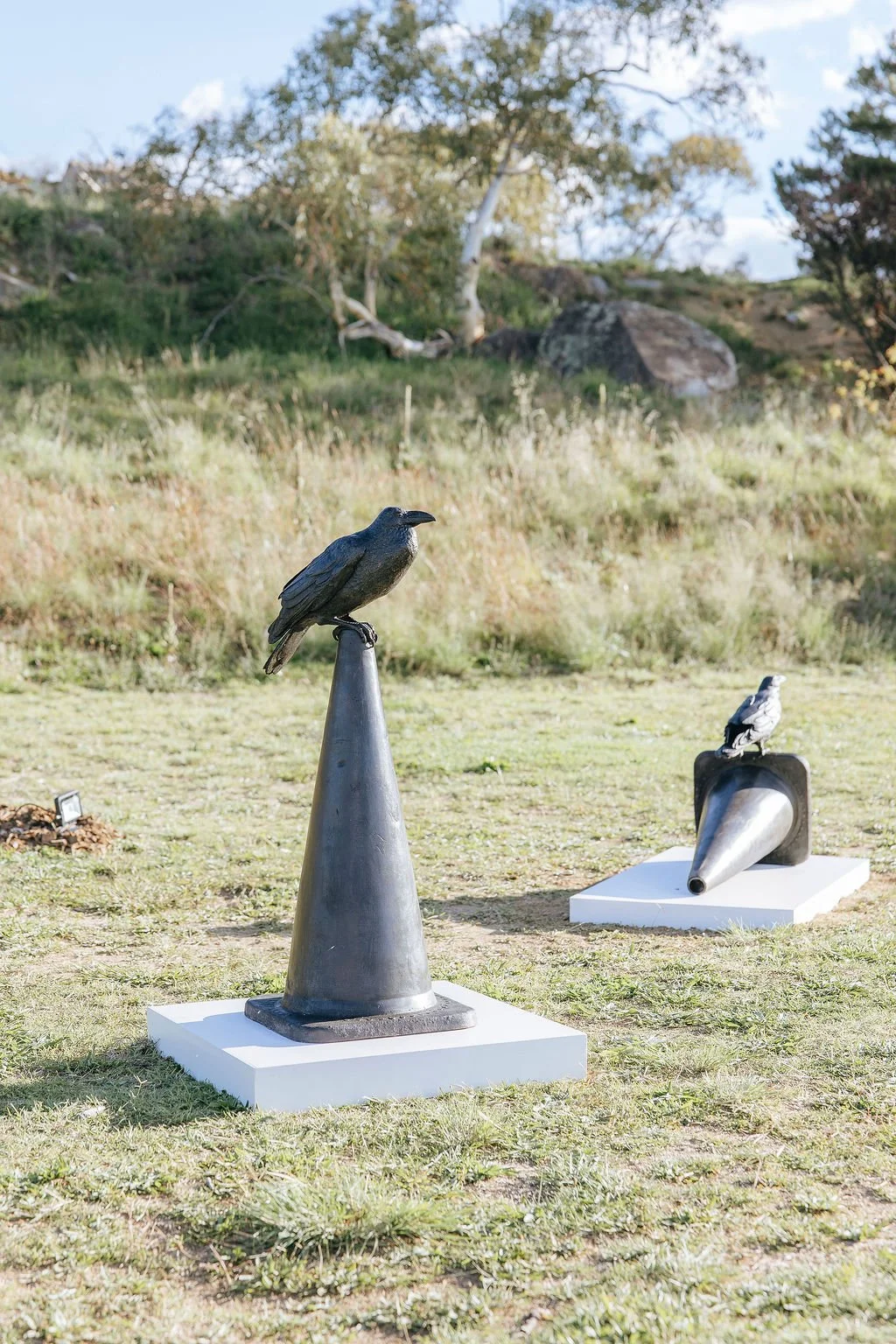 #75 - Carwarp - Steven Mark Holland