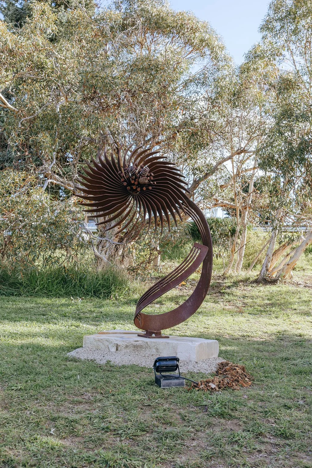 #51 - Superbloom - Myles Geyson