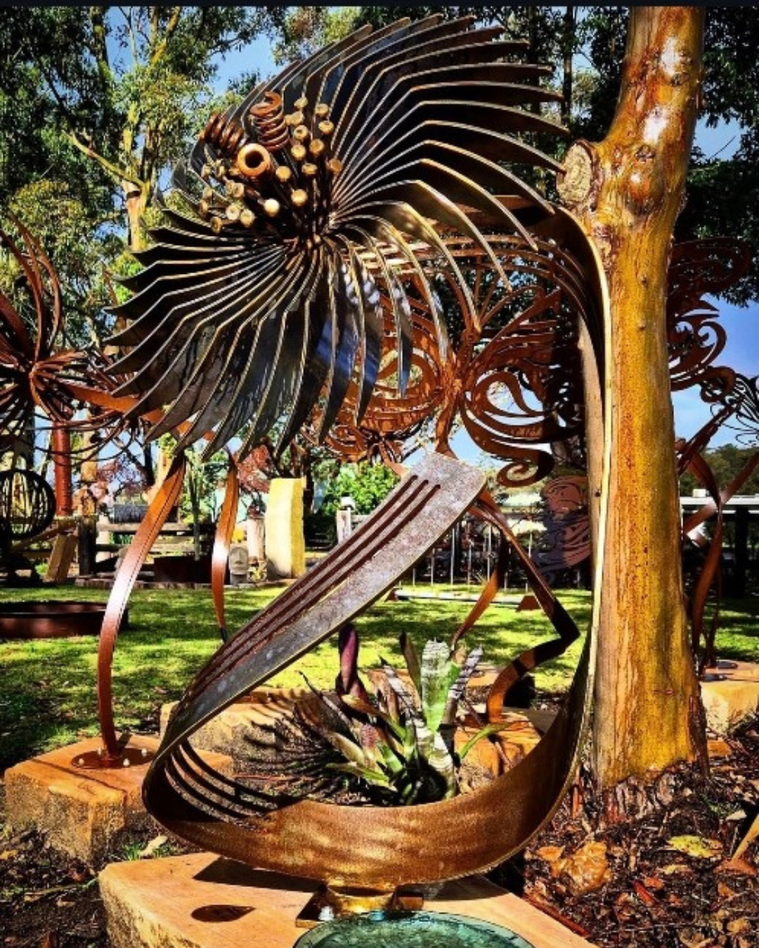 #51 - Superbloom - Myles Geyson