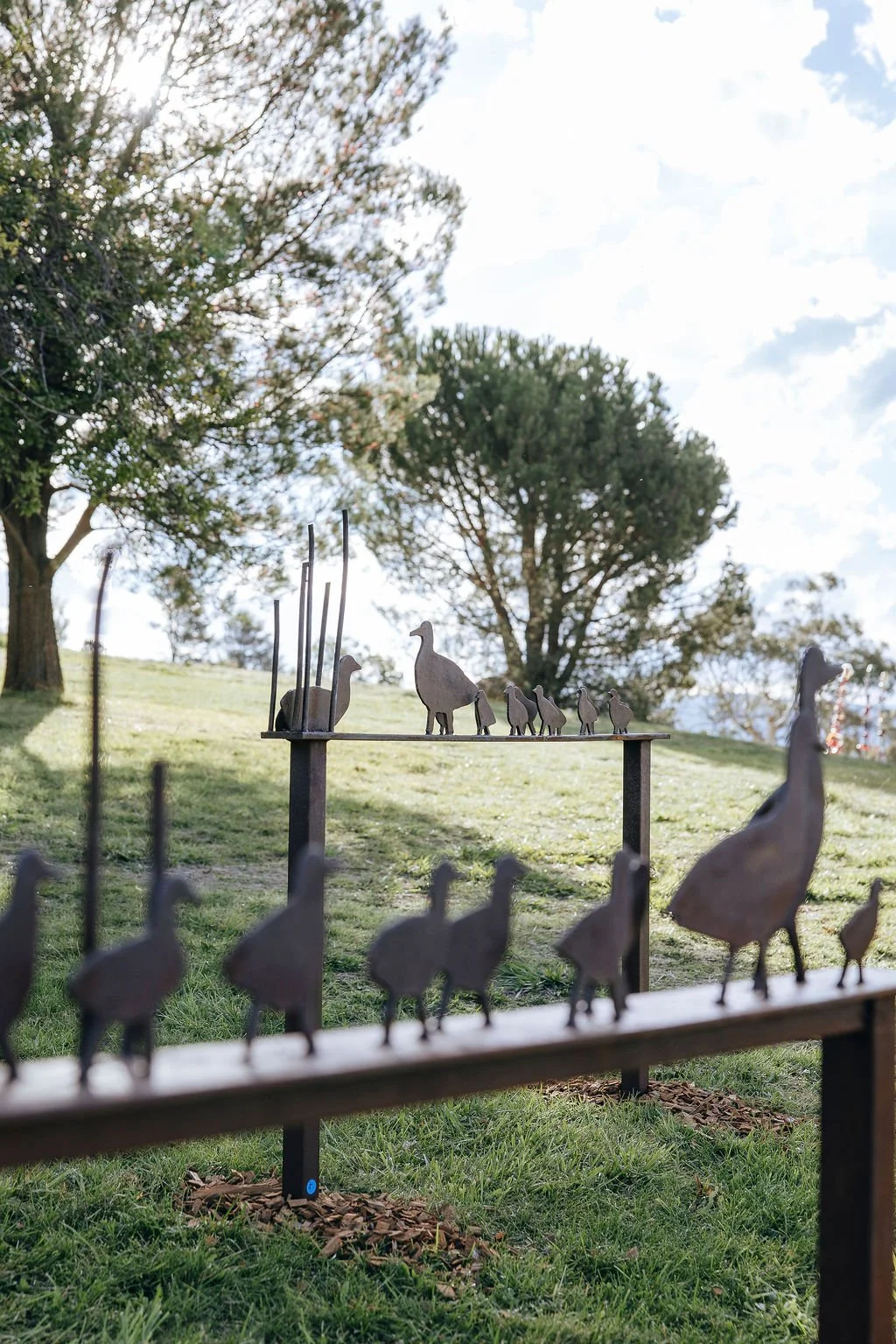 #96 - Ducks - David Doyle