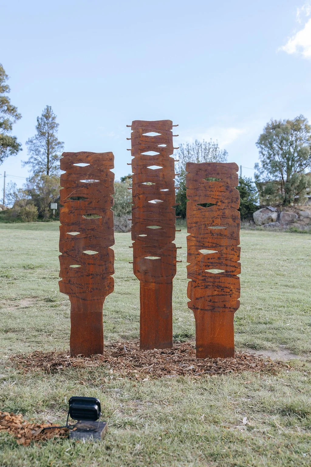 #67 - Banksia Seed Pods Totems - David Doyle