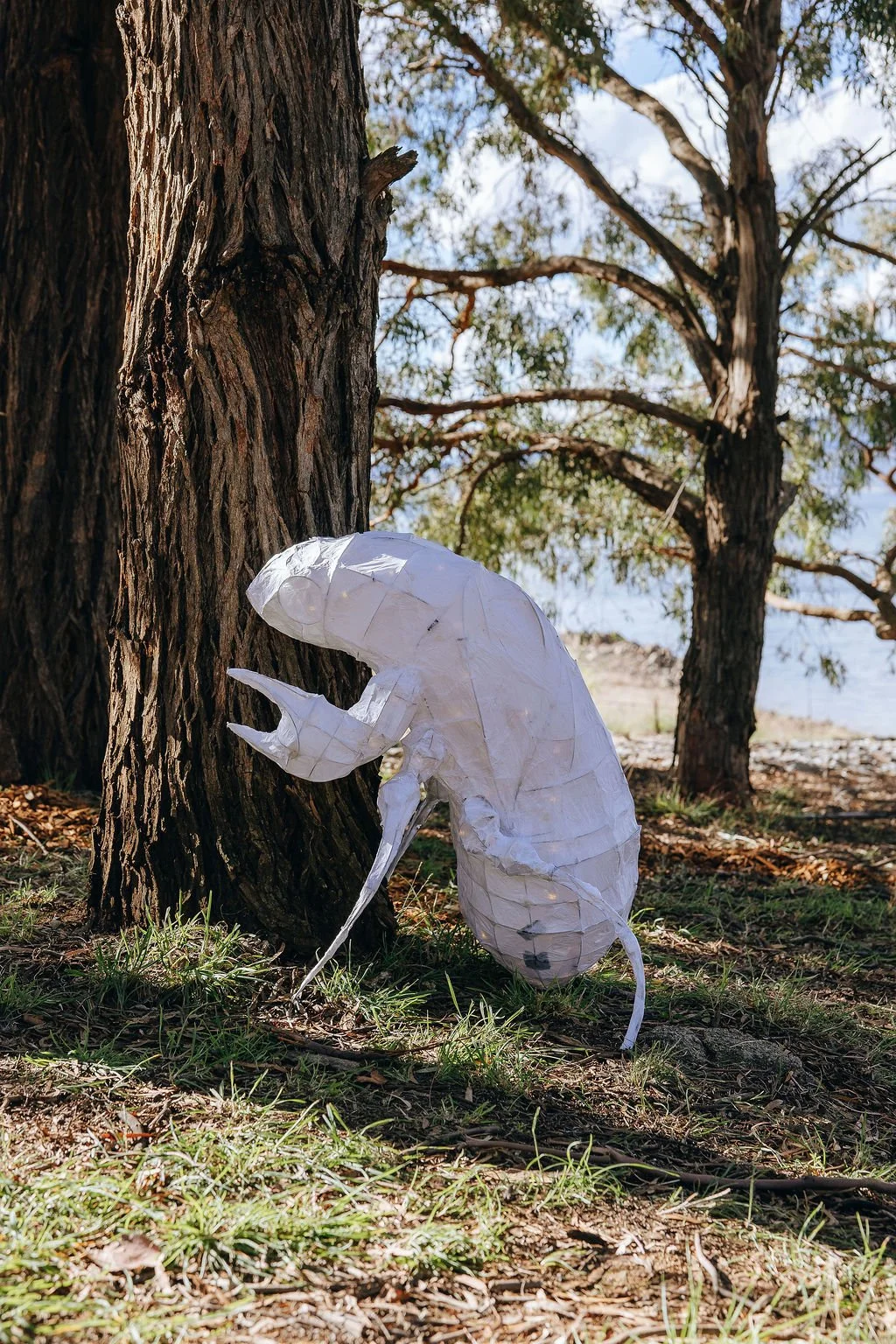 #44 - Emergence (New Wings, Shed Skin) - Tom Buckland (3 pieces)