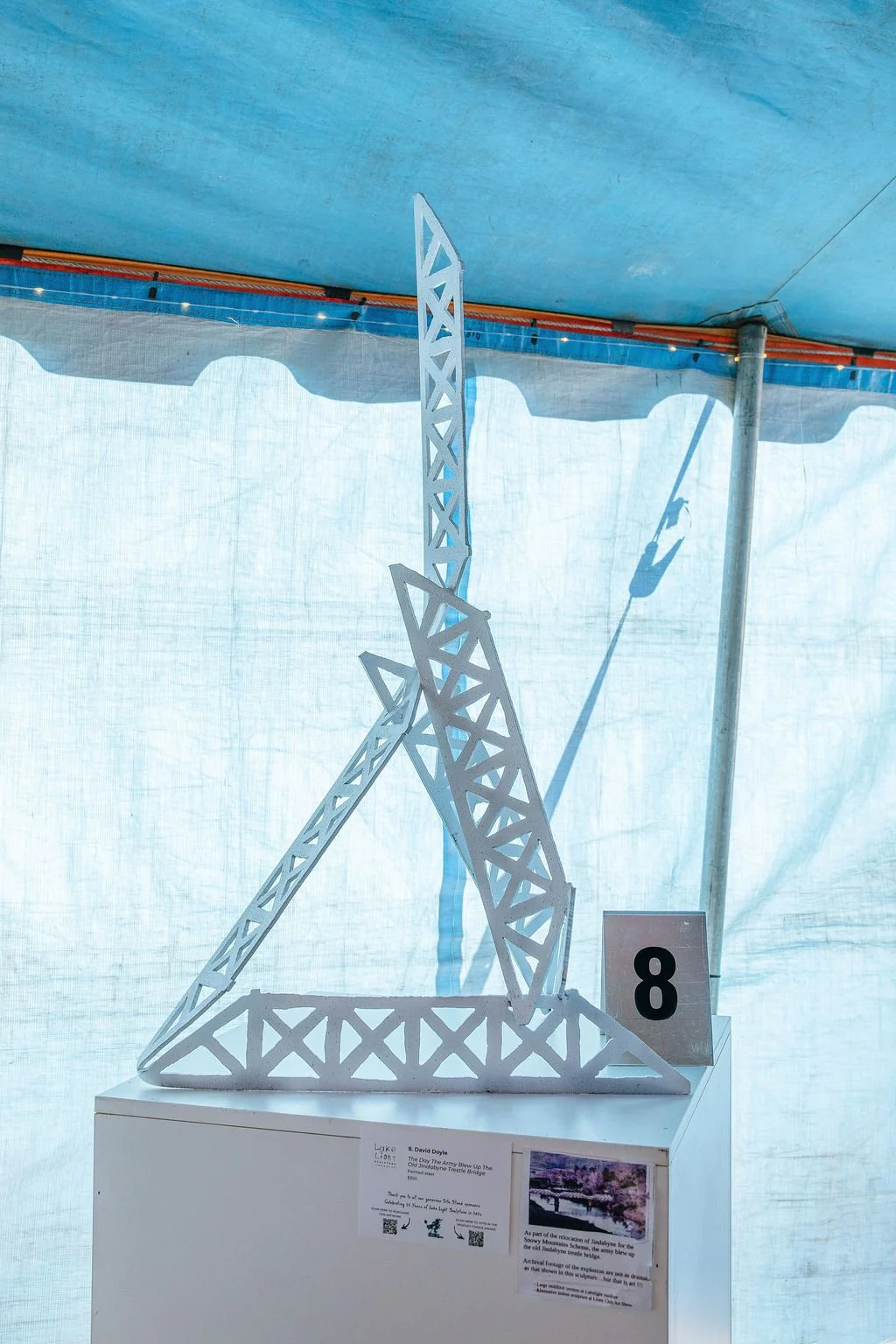 #8 - The day the army blew up the old Jindabyne Trestle Bridge - David Doyle