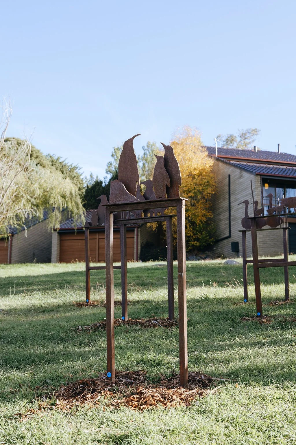 #61 - An Installation of Fun Bird Sculptures - David Doyle (15 pieces)