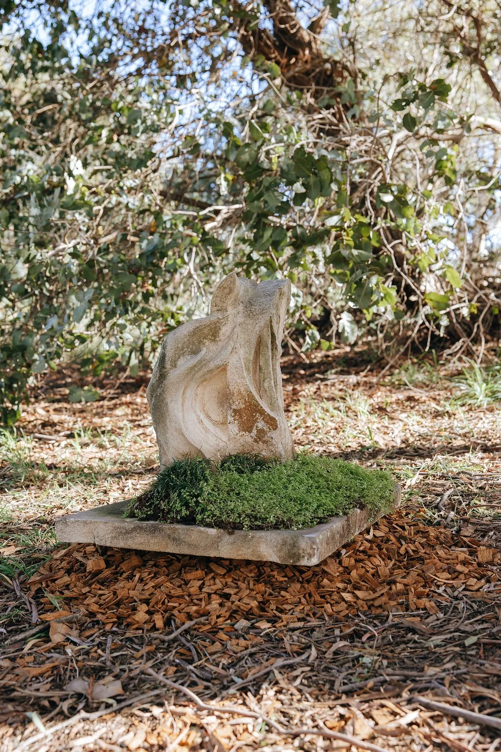 #45 - A Spinning Stone Gathers Moss - Woody Hulst