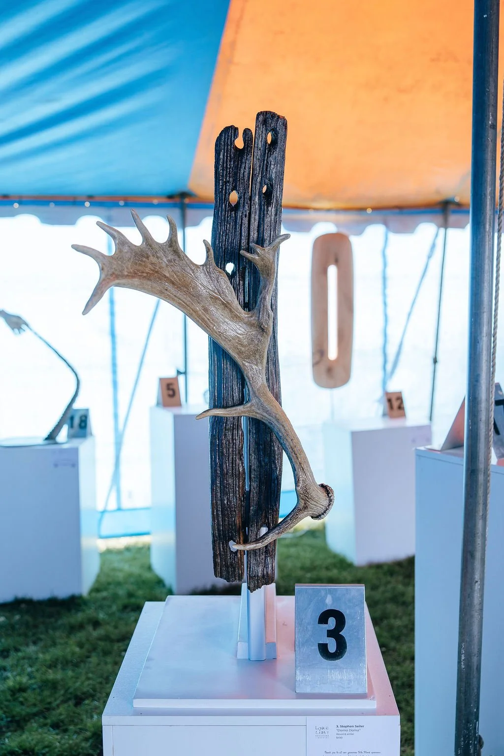 #3 - "Dama Dama" - Stephen Seiler