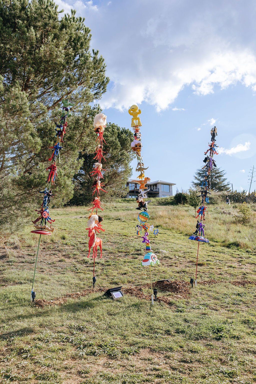 #73 – Power Totems – Danielle Devine (Priced as a set, available for individual purchase)