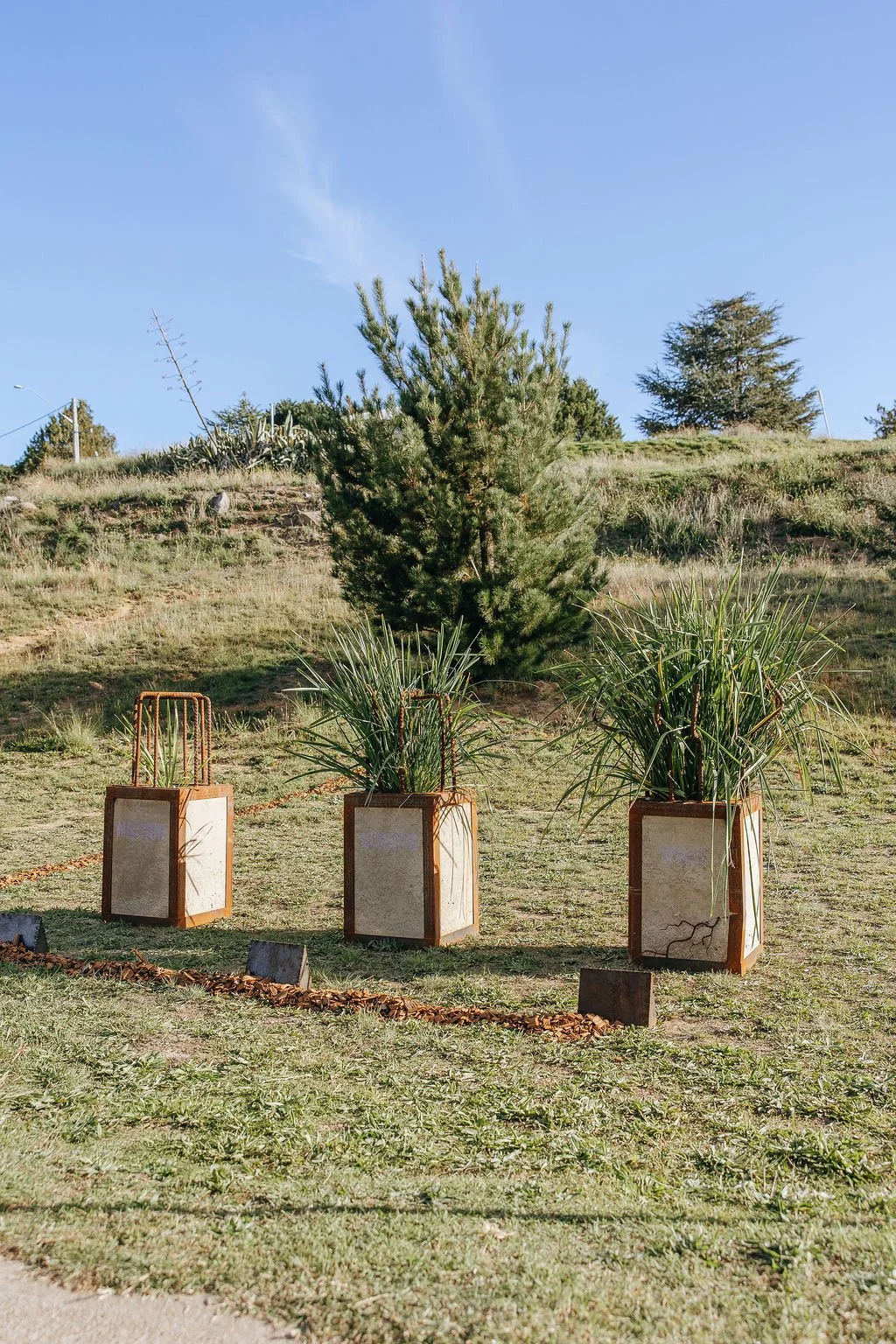 #79 - Nature Always Wins - Darragh Walsh