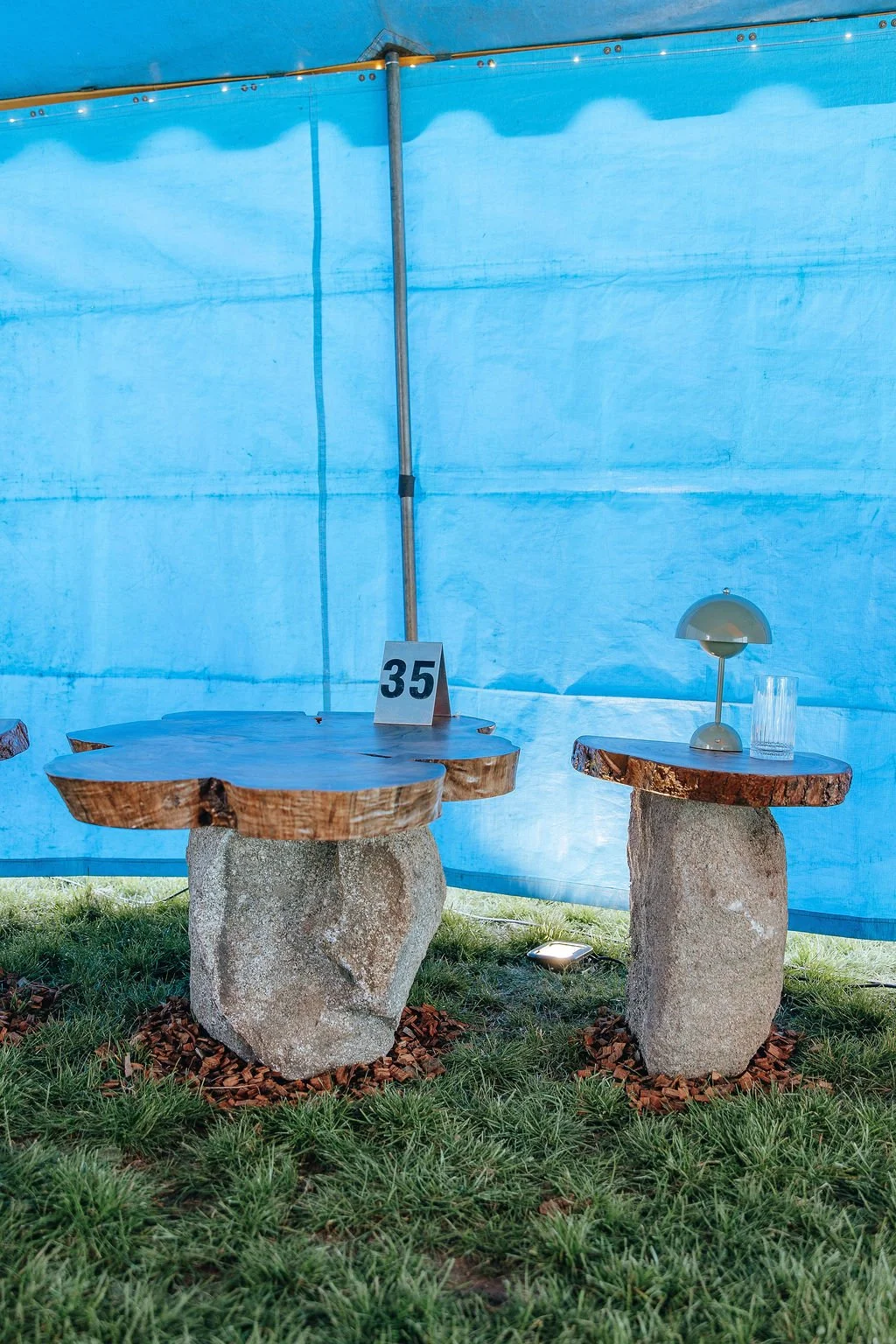 #35 - Bedside Nature - Drew Burgess (Multiple Pieces)