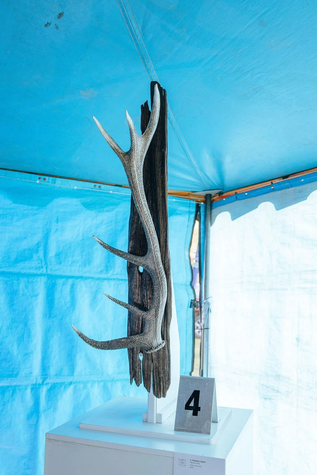 #4 - Fence Line -Stephen Seiler