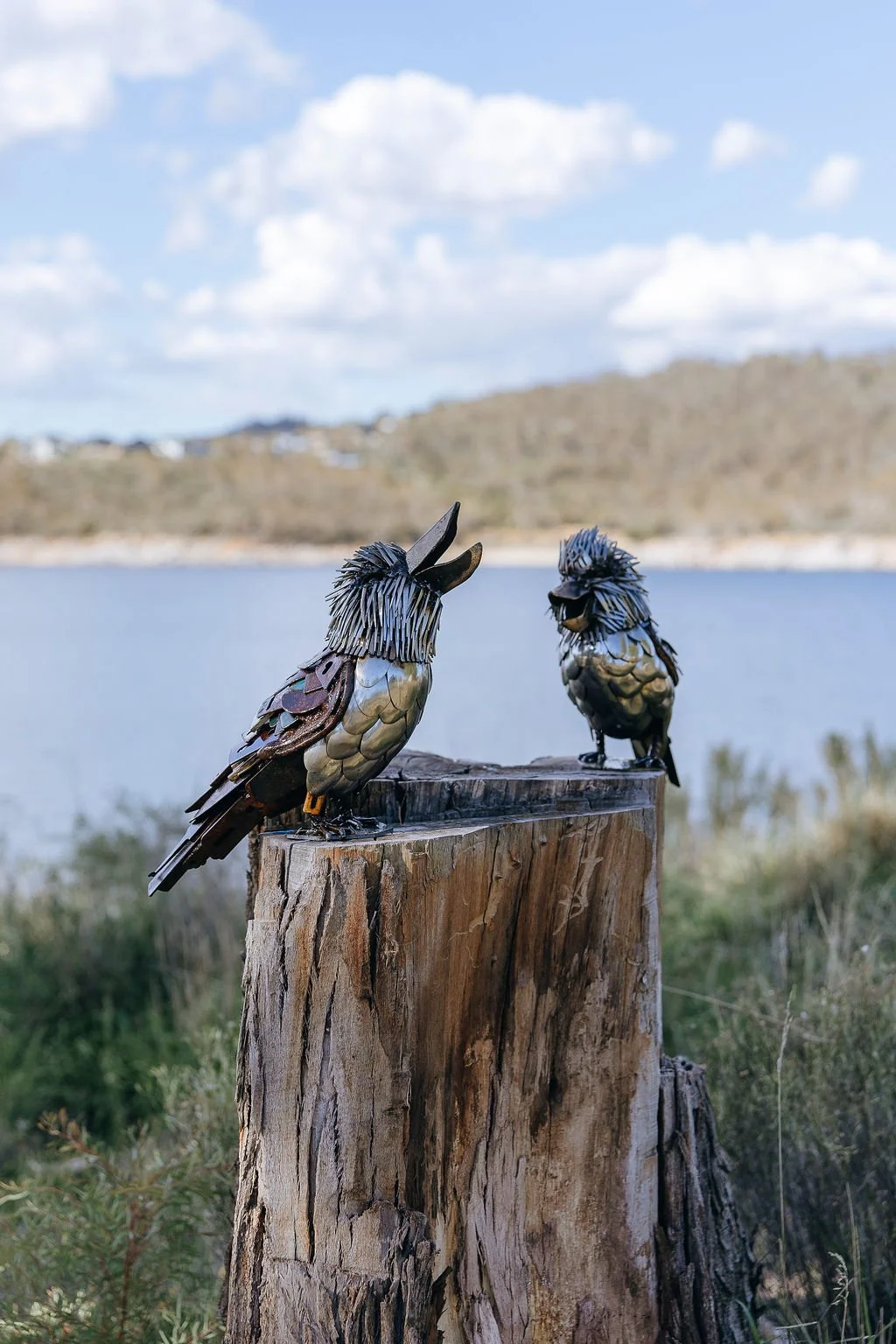 #40 - A Riot of Laughs - Madelaine Last (12 pieces)