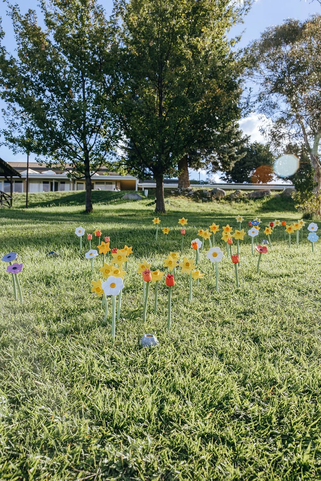 #49 - Planted - Joanne Pridham