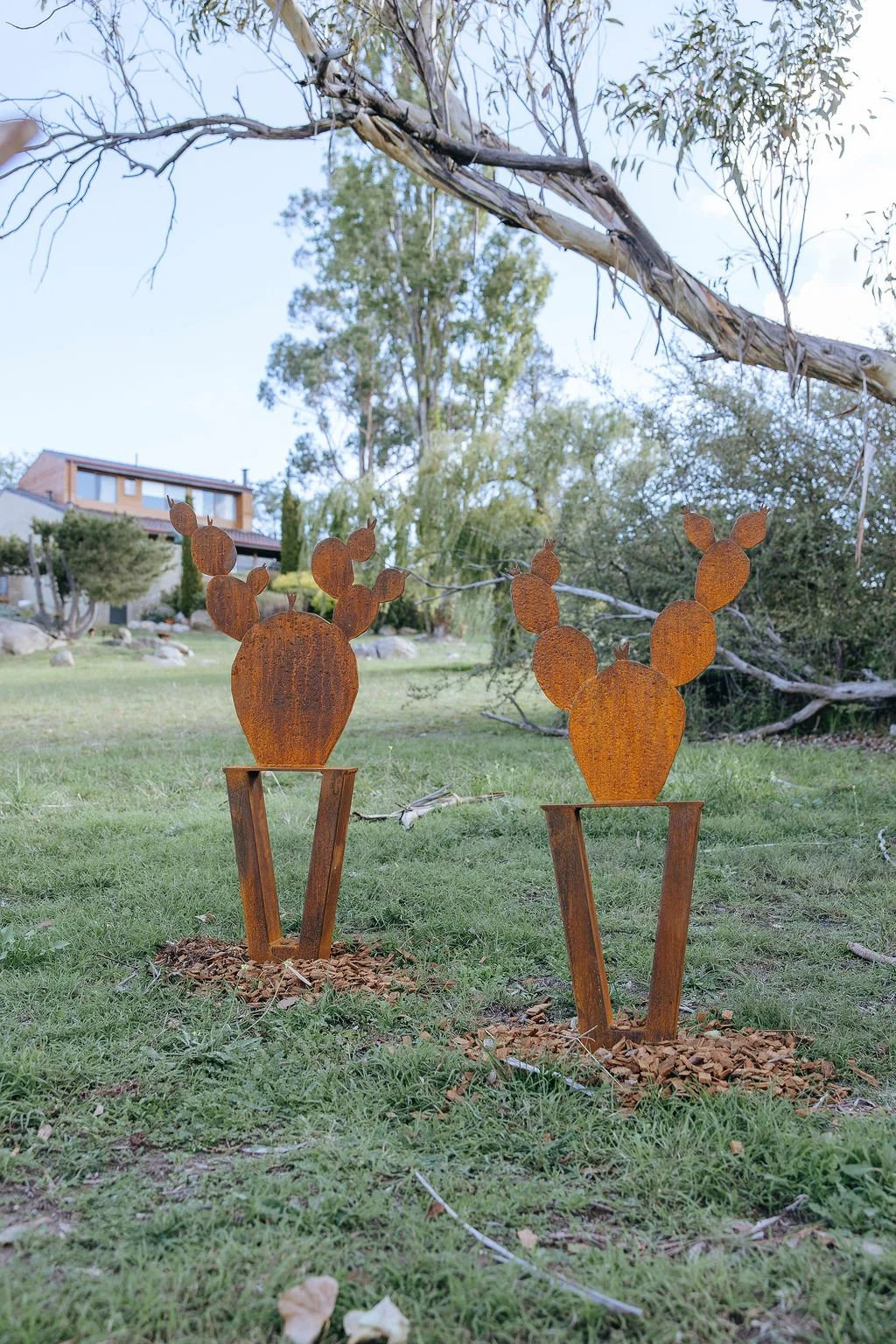 #66	- Cacti - David Doyle (2 pieces)