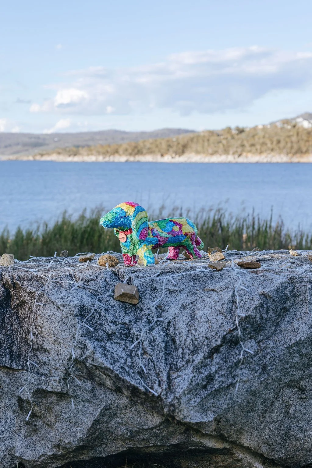 #92 - Our Best Friend - Sofia, Sebastian, Spencer & Saxon Woolford