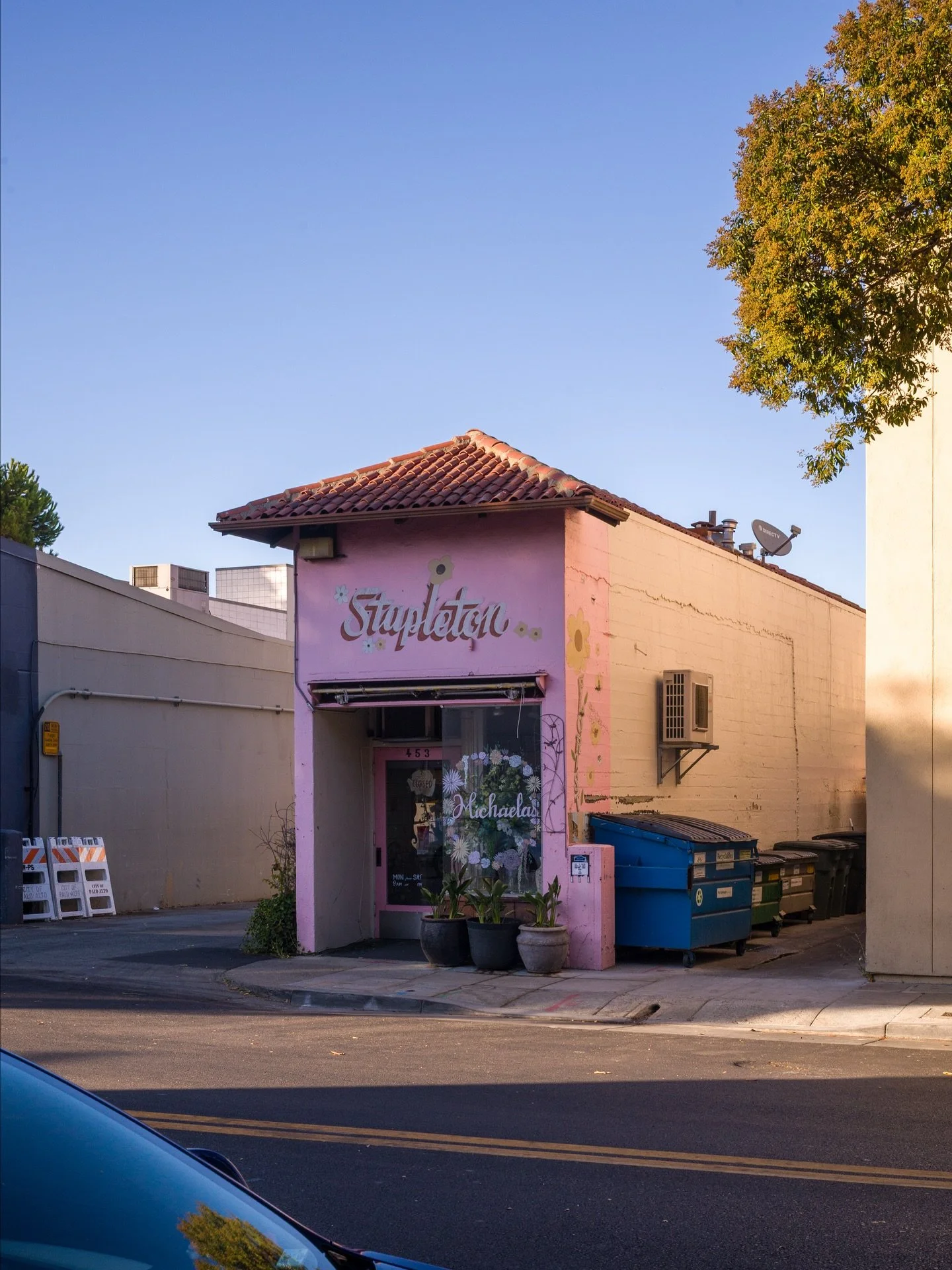 Pretty in pink. #florist #flowershop #flowers #leicam11 #leicasummicron35 #paloalto #stapleton #michaelas #pink #sunset #goldenhour