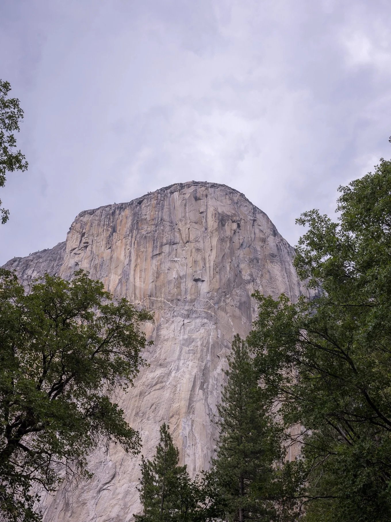 Pictures of rocks. Photography rocks. I think it&rsquo;s a common theme that the older one gets, the more they appreciate Yosemite. #yosemite #nationalpark #leicam11 #landscape #photography #halfdome #elcapitan #nature #appreciation #rocks