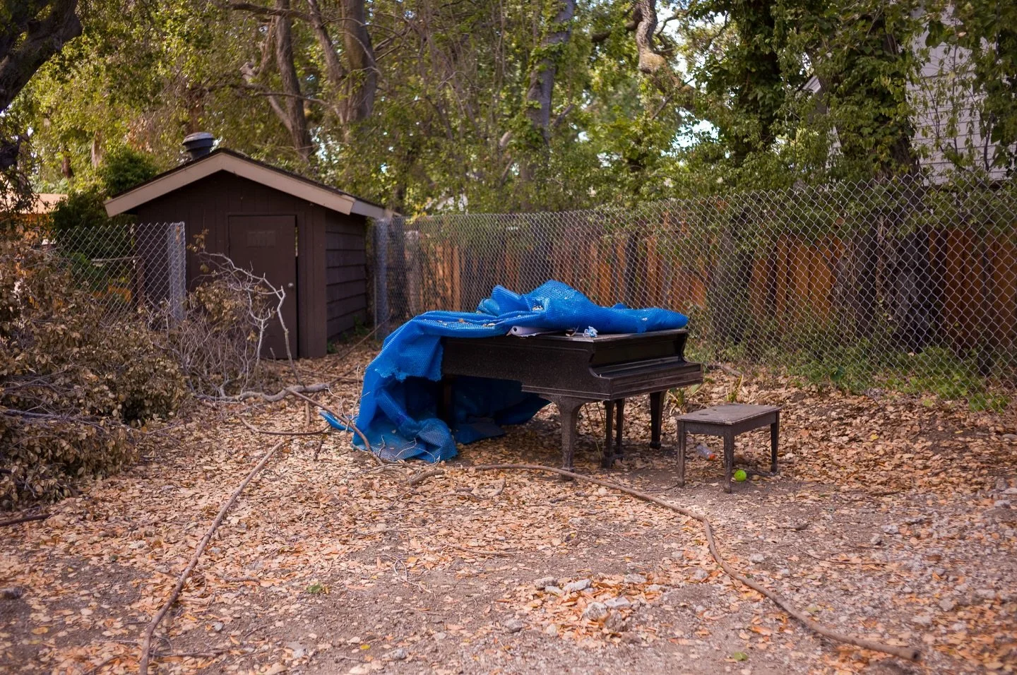 Oh, nothing to see here. Just an abandoned grand piano&hellip; #piano #tarp #blue #grandpiano #constructionsite #abandoned #leica #m11 #redwoodcity #autumnleaves #concertvenue #summicron #outdoors #music #photography