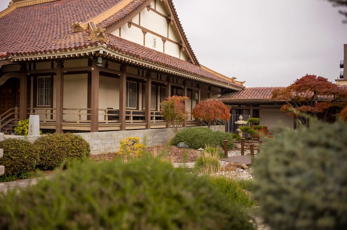 A piece of Japan in San Jose. #sanjose #japantown #bayareareddots why am I limited to three hashtags&hellip;?!