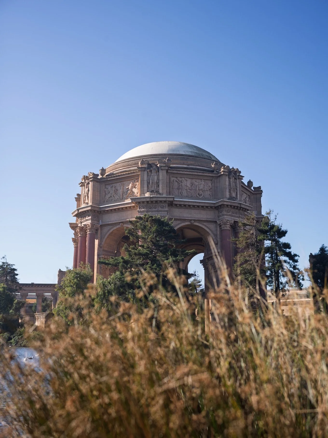 An unusually warm January day in San Francisco. #sanfrancisco #leicam11 #palaceoffinearts #summilux35fle #bernardmaybeck