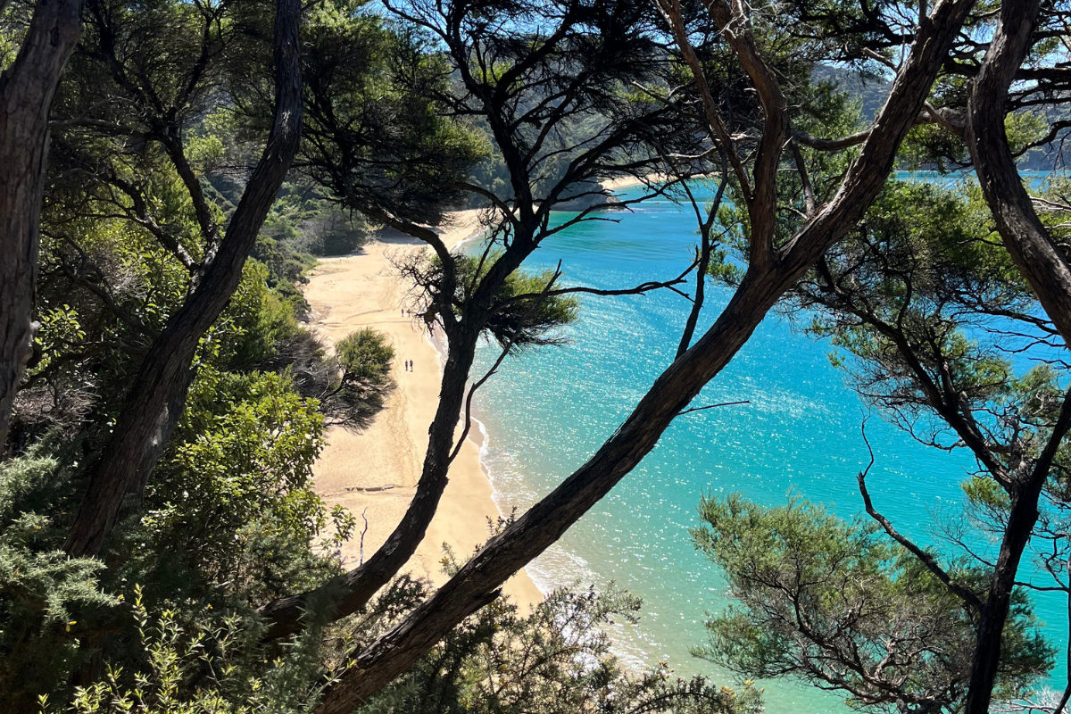 Hiking Gibbs Hill, Abel Tasman