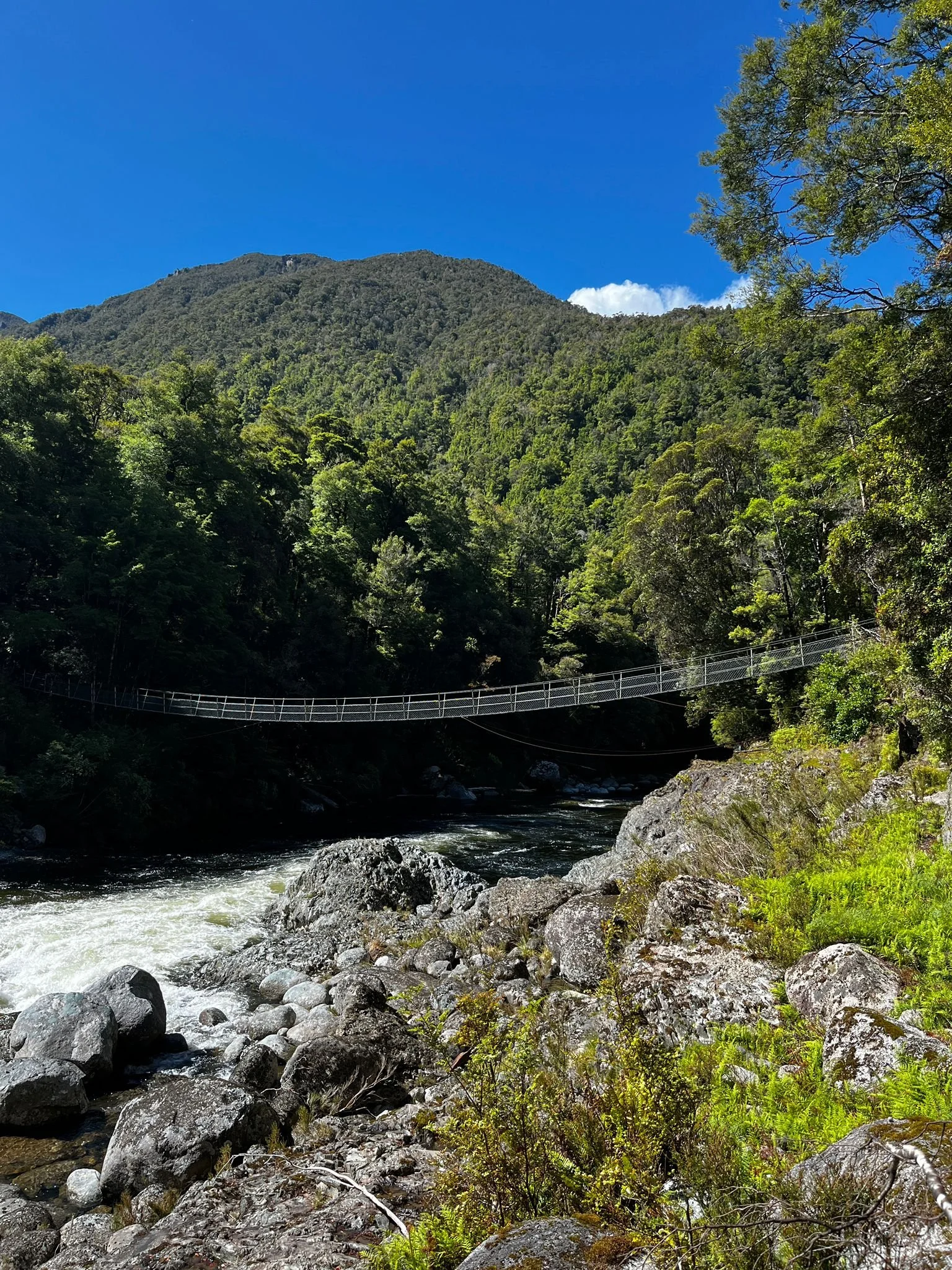 Hiking the Leslie Karamea, Kahurangi National Park