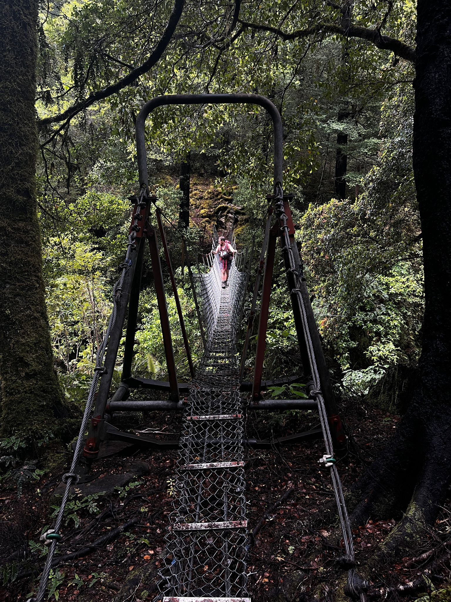 Hiking to Kings Creek Hut, Kahurangi National Park