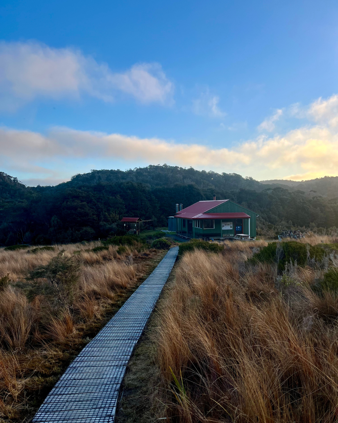 Biking to Saxon Hut on the Heaphy Track