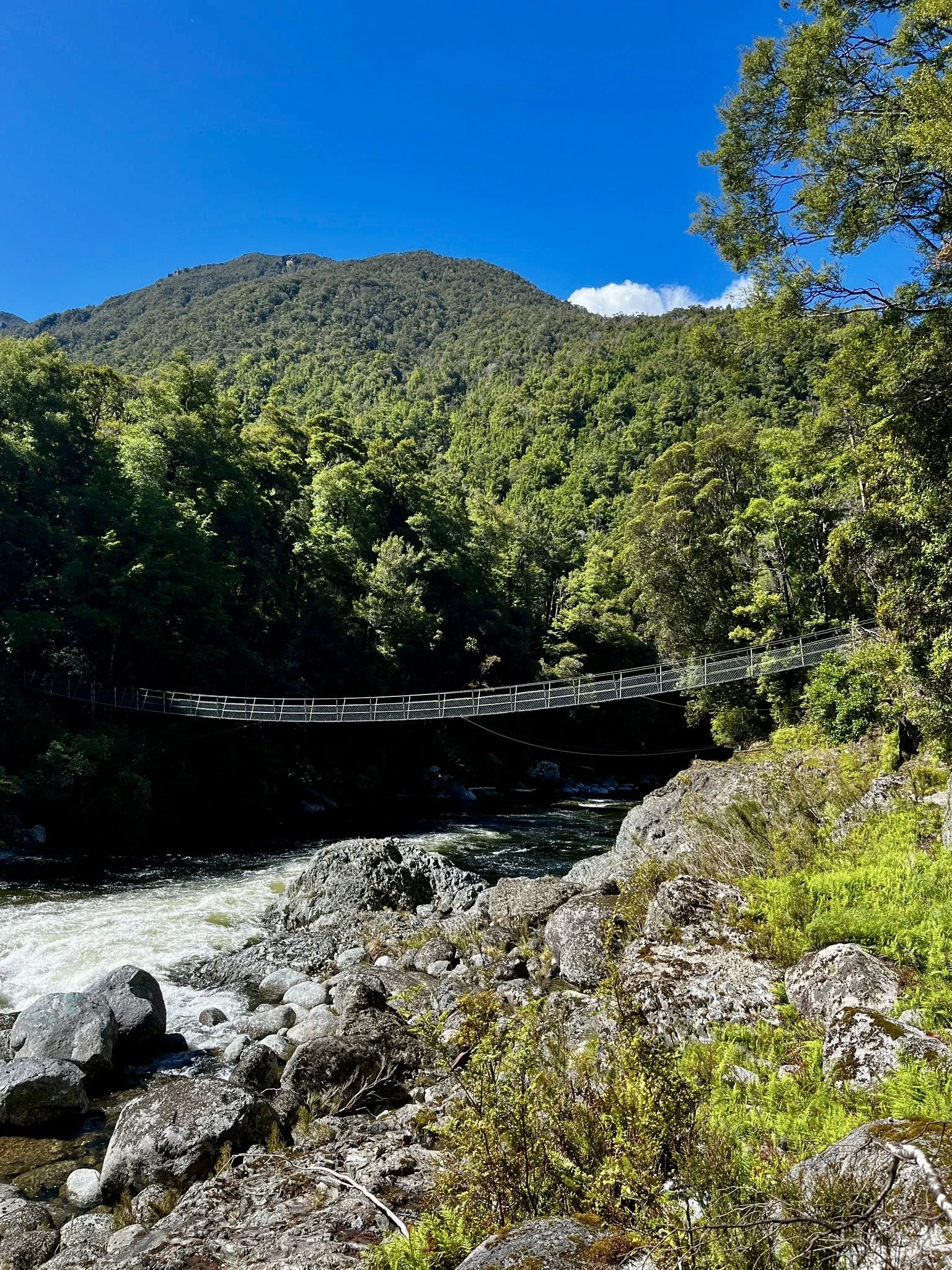 Hiking the Leslie-Karamea Track