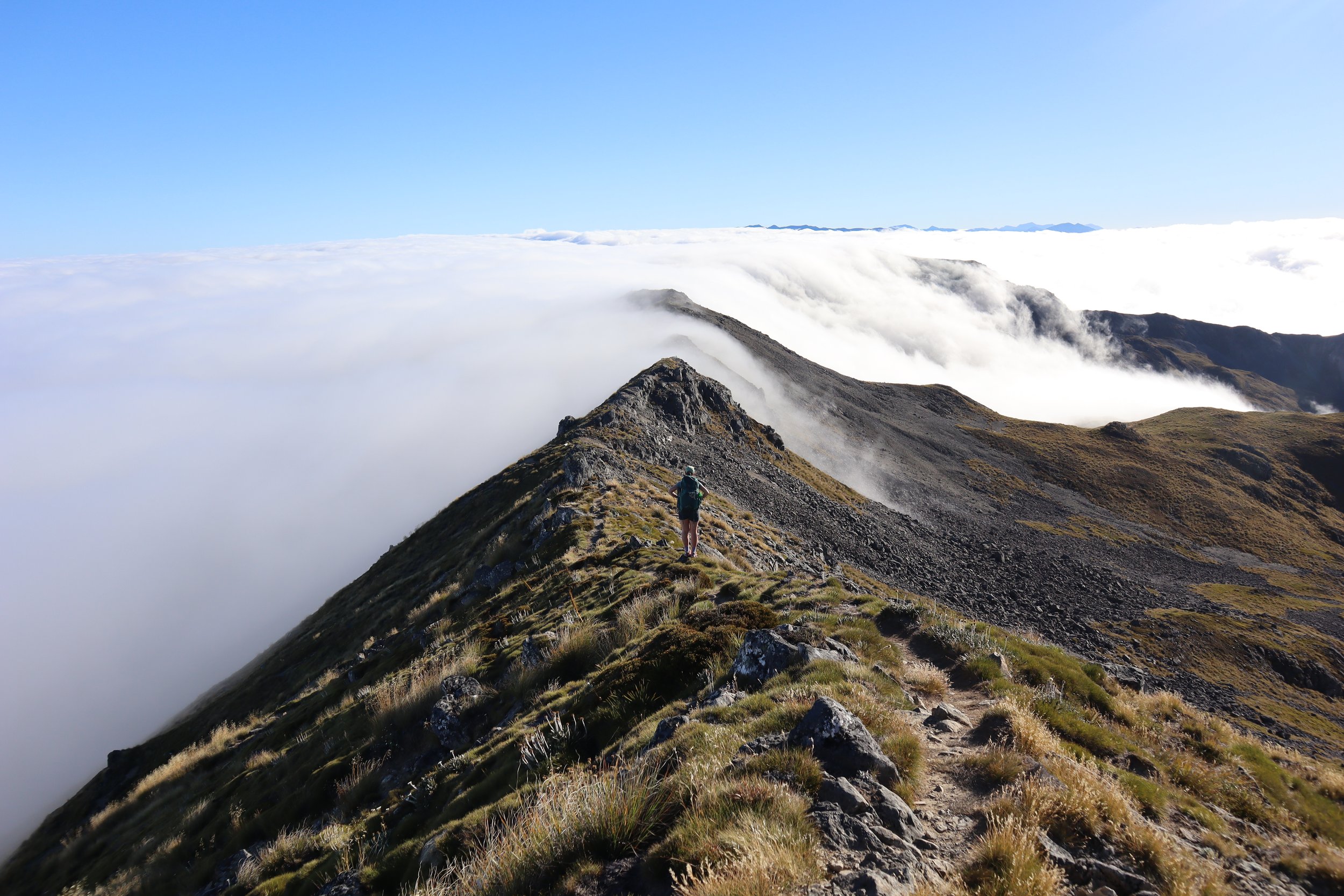 Hiking to St Arnaud Ridge, Nelson Lakes