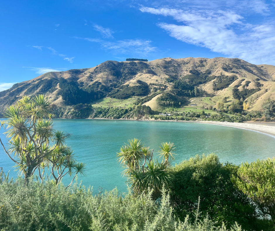Hiking the Cable Bay Walkway